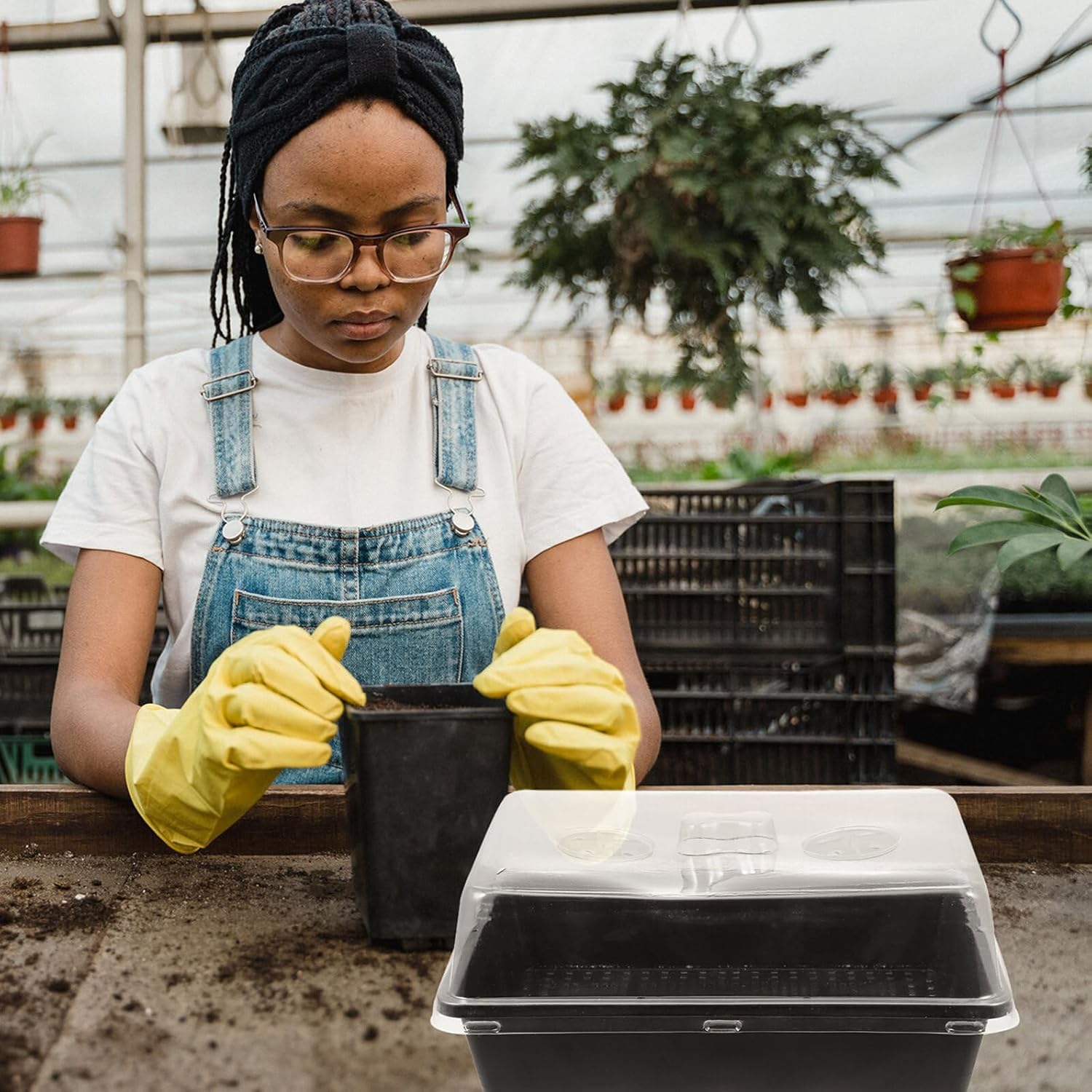Luxshiny 5 Sets Plastic Nursery Tray Germination Boxes with High and Low Lids 35x27.5x7.5cm Planting Containers for Home Greenhouse Seed Starting and Garden Propagation