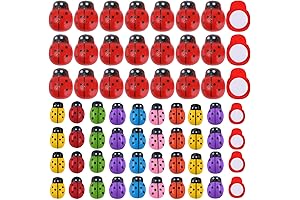 180 Pieces Tiny Wooden Ladybugs with Multi Color DIY Self-Adhesive