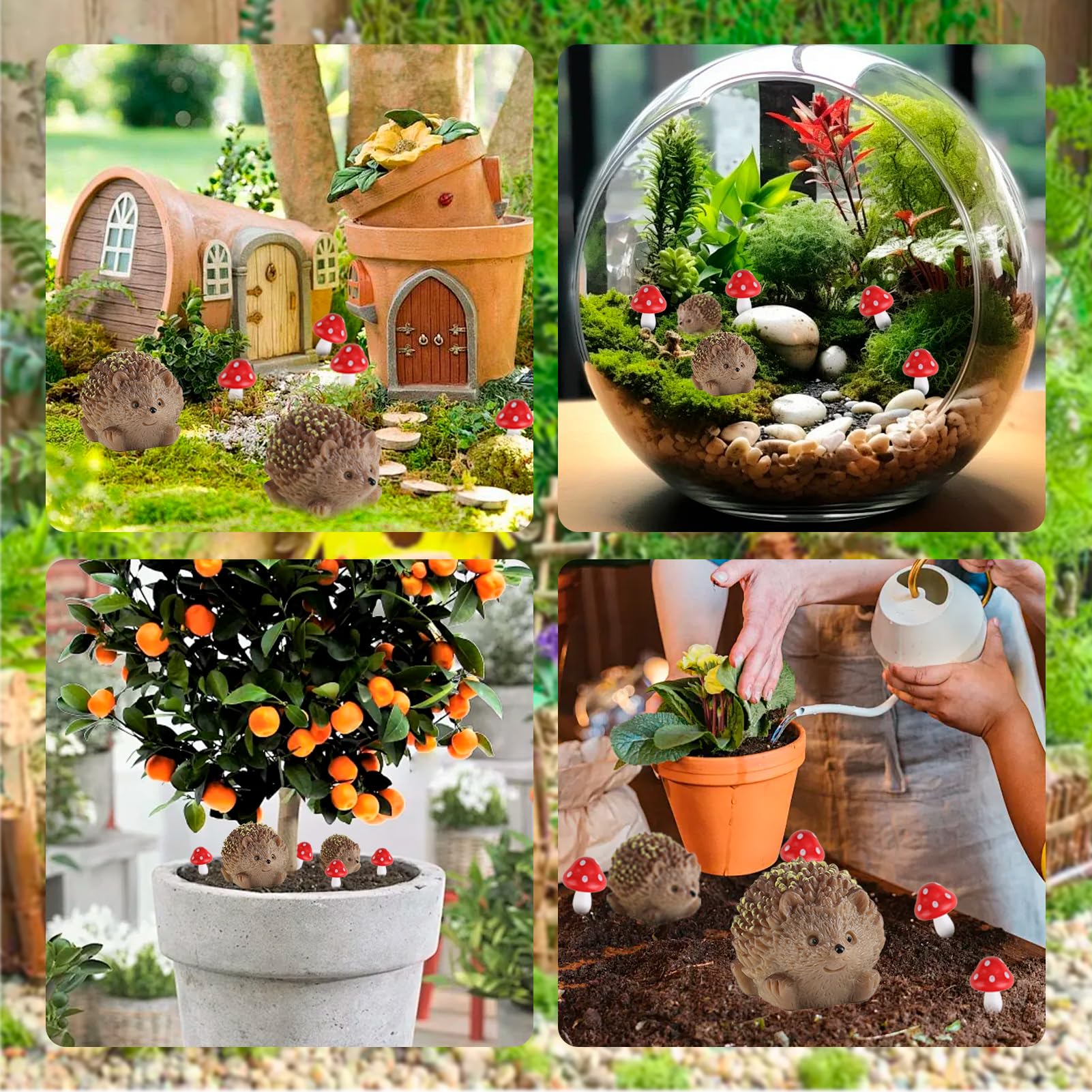 Accessori per le Fate del Giardino, Ricci nel Resina e Decorazioni