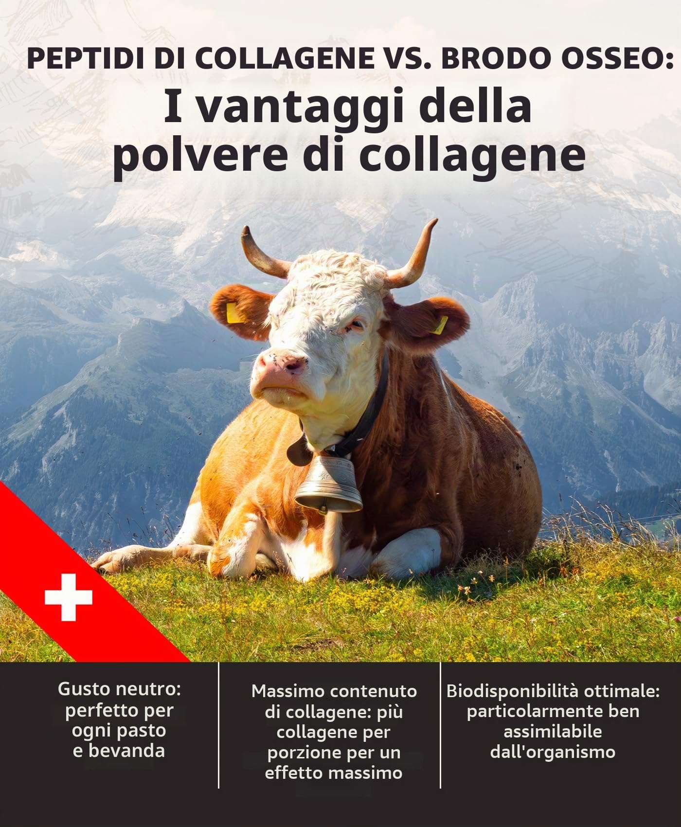 Carnivoro Polvere di collagene di manzo [450 g] – Idrolizzato di collagene premium dalla Svizzera – Peptidi tipo 1 e 3 – Ottima solubilità – insapore