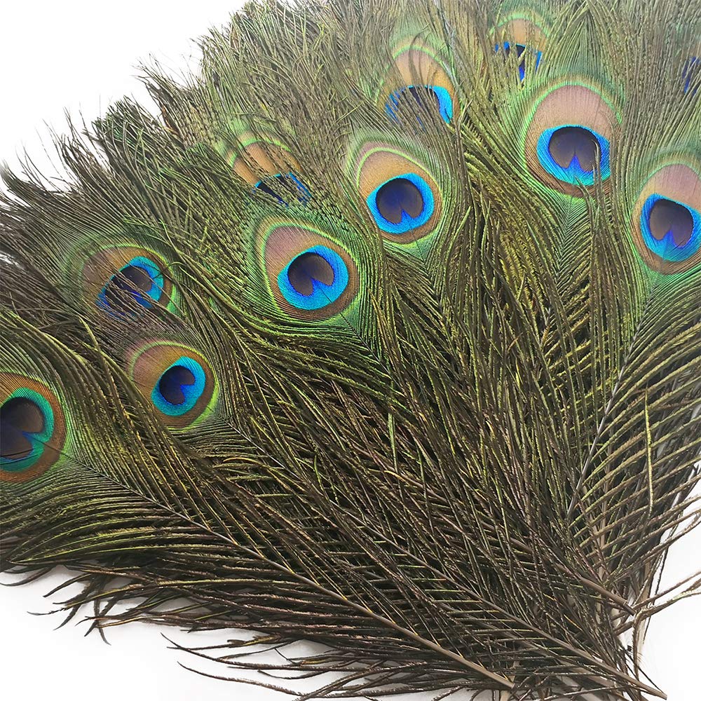 Piokio Peacock Feathers 200 FTR006-200