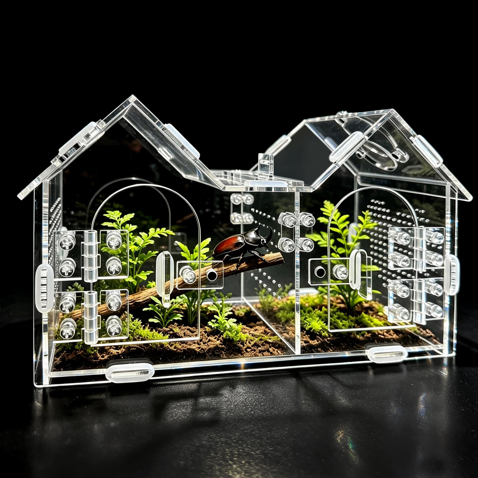 Jumping Spider Enclosure with Divider&Magnetic Door 9.25"x4"x5.9"Acrylic