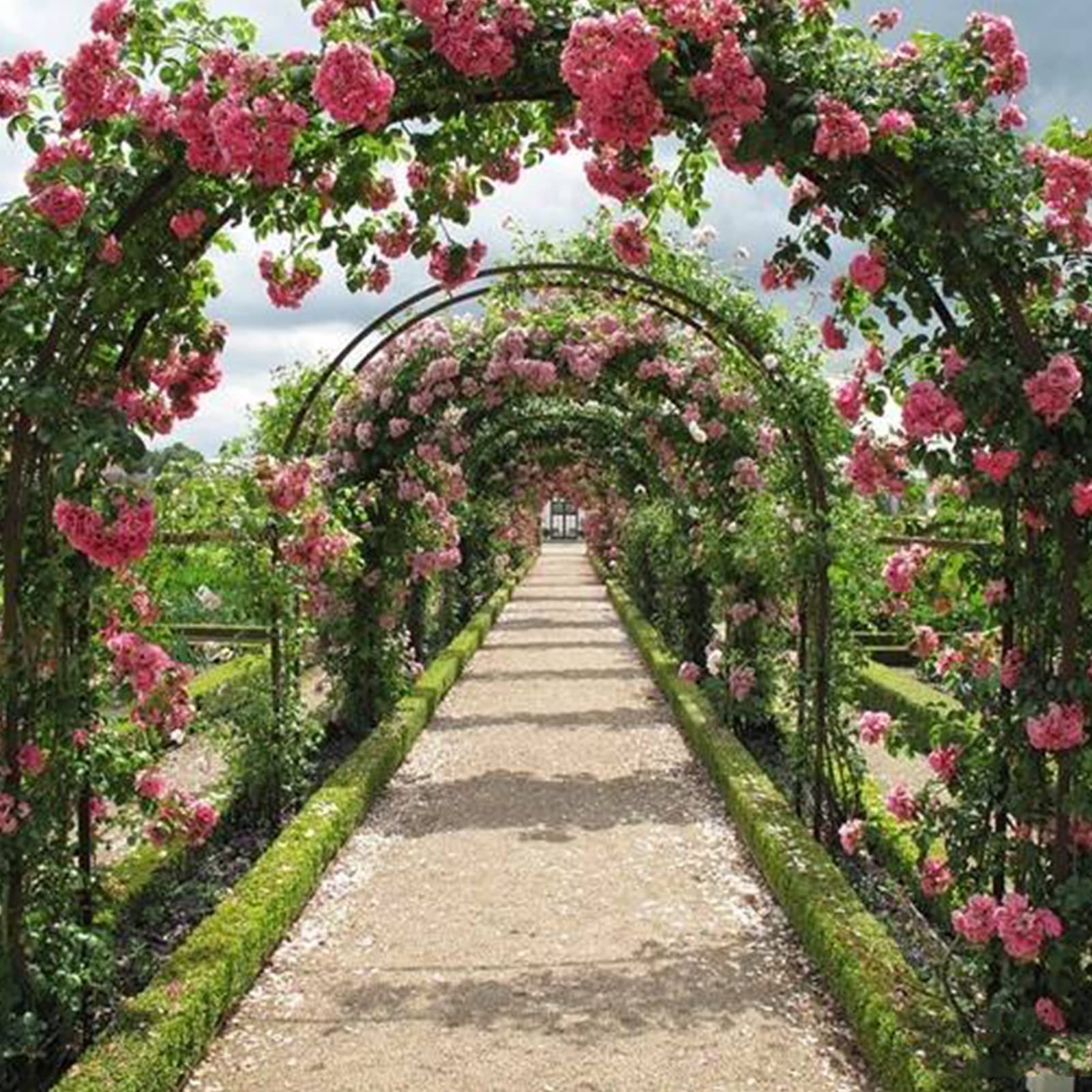 SDdPulse Arco da giardino per esterni, pergolato per piante rampicanti, arco decorativo per rose, arco decorativo in metallo resistente alle intemperie, supporto per piante clematide per rose d'uva, 3