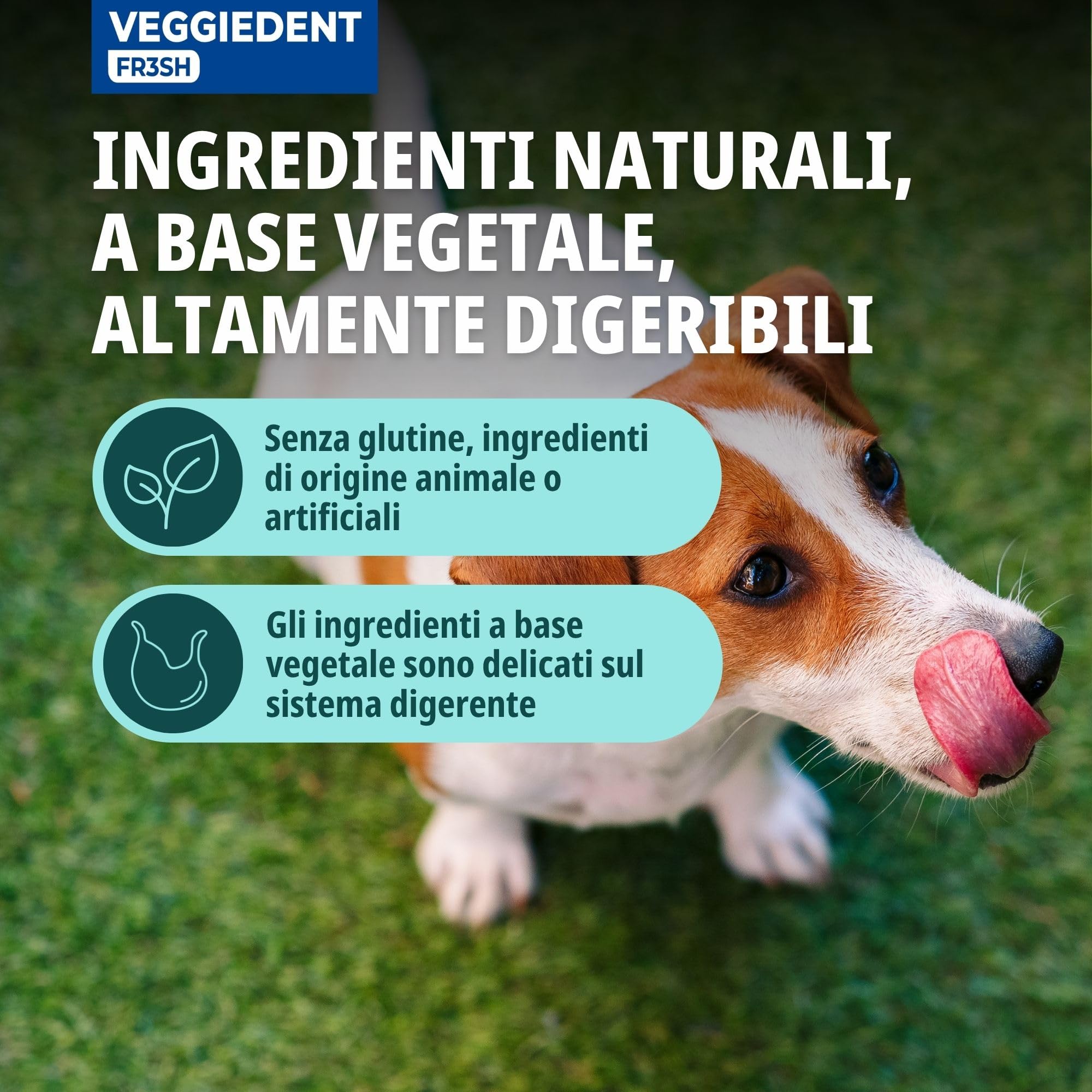 Virbac Veggiedent Mangime Complementare 15 Strisce Anti Tartaro e Alito Fresco per Cani Sotto 10 Kg
