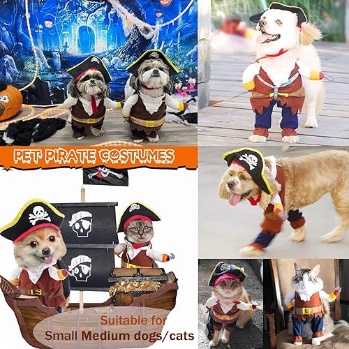 Miniatura 7 de Disfraz de Halloween para perro, disfraz de piratas del Caribe, divertido disfraz de fiesta de cosplay para perros pequeños y medianos, gatos,