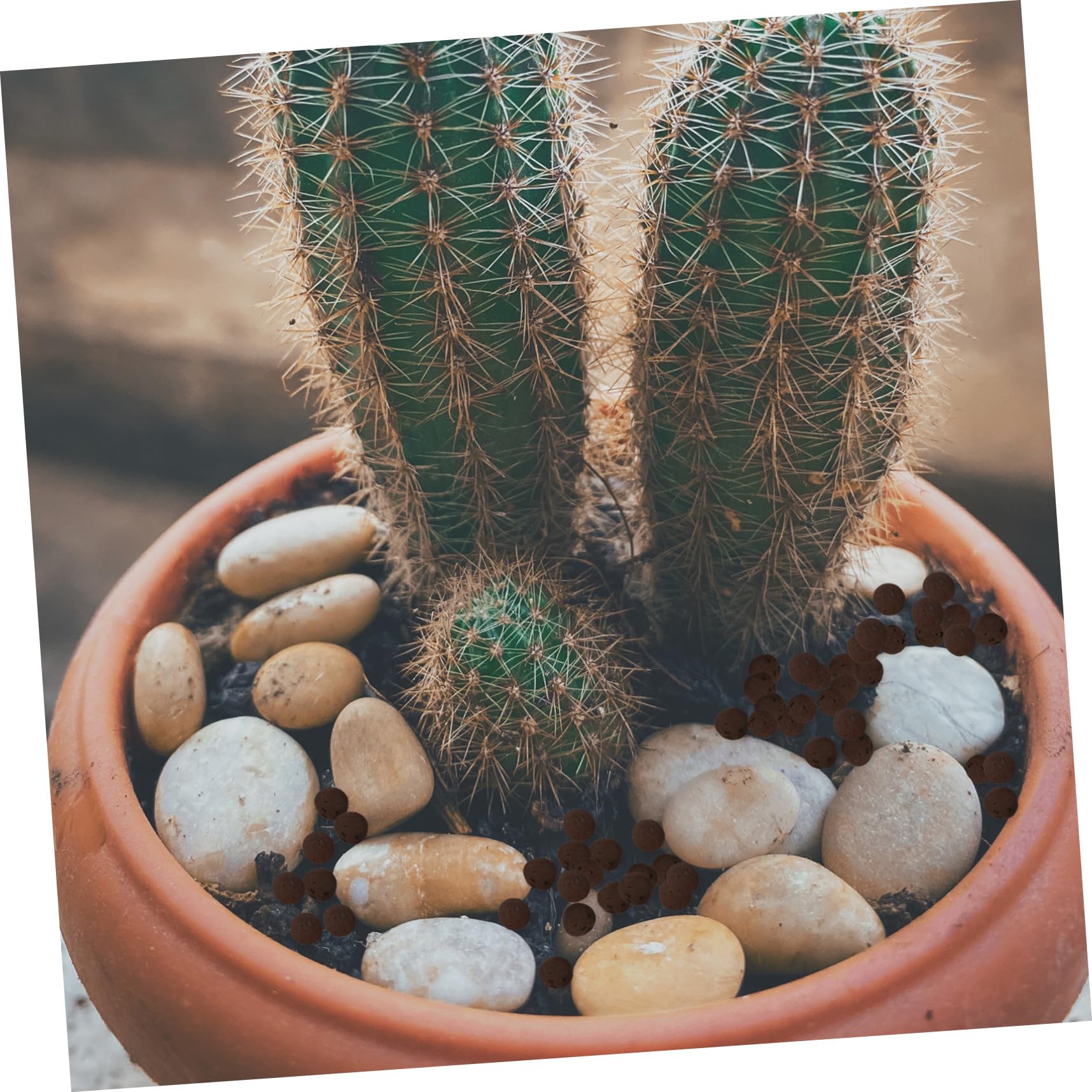 2taschen Blähton Blumentopf Dekoration Atmungsaktives Material Garten Werkzeug Blume Pflanzen Zubehör Für Garten Und Zuhause
