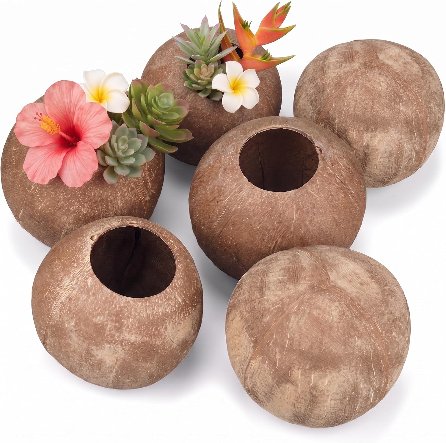 LemonRoad 4 Pcs Natural Coconut Shell Coconut Bowls for DIY, with Fiber