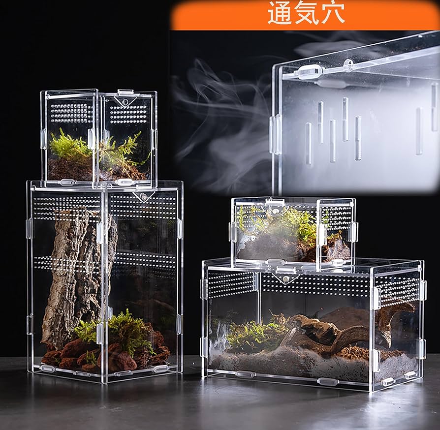 Amazon | アクリル 飼育ケース YANGMUM 透明 クリア 通気