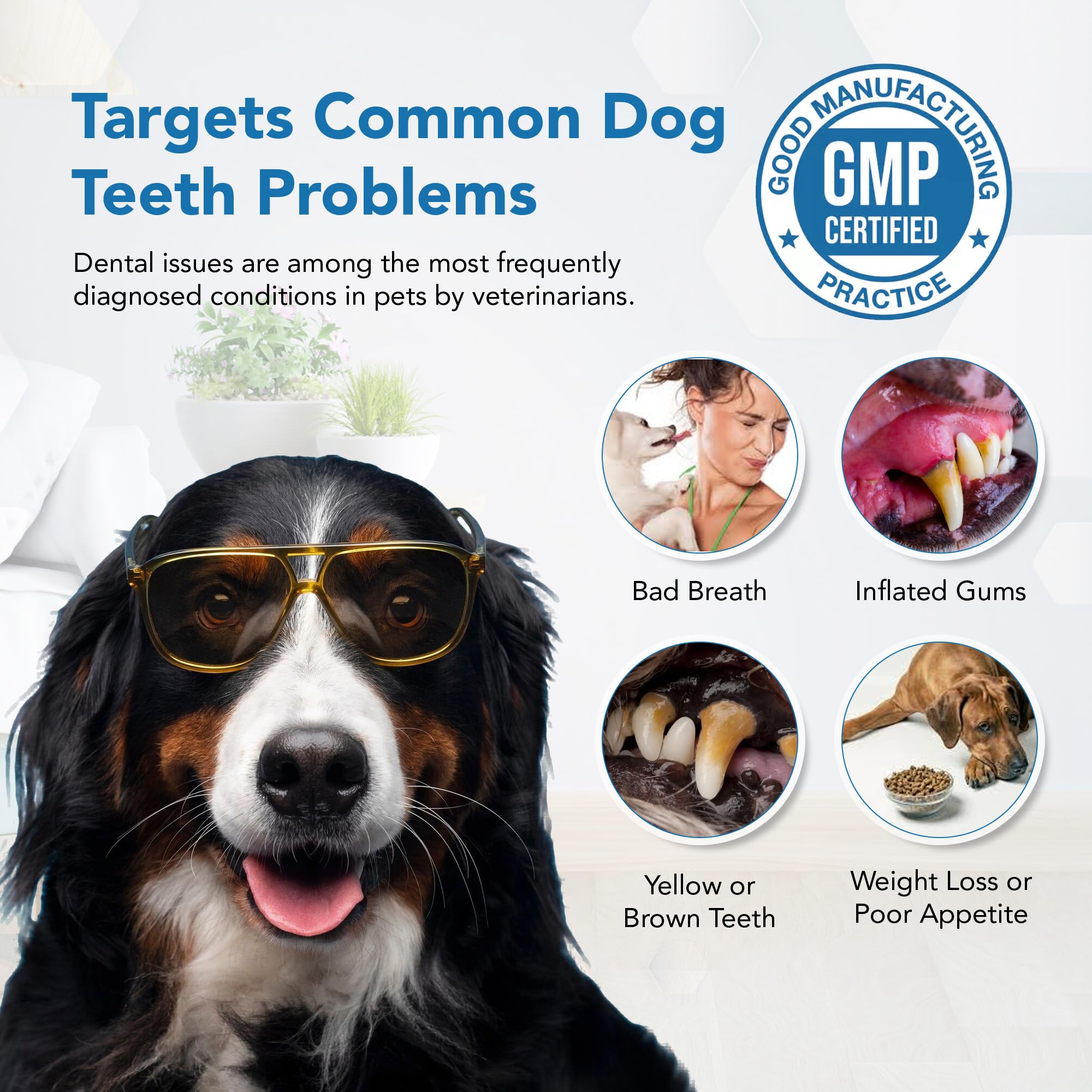 Polvo dental para perros y gatos, removedor de placa y sarro, ambientador de aliento con probióticos, vitaminas y extractos naturales, fácil cuidado dental para perros para todas las