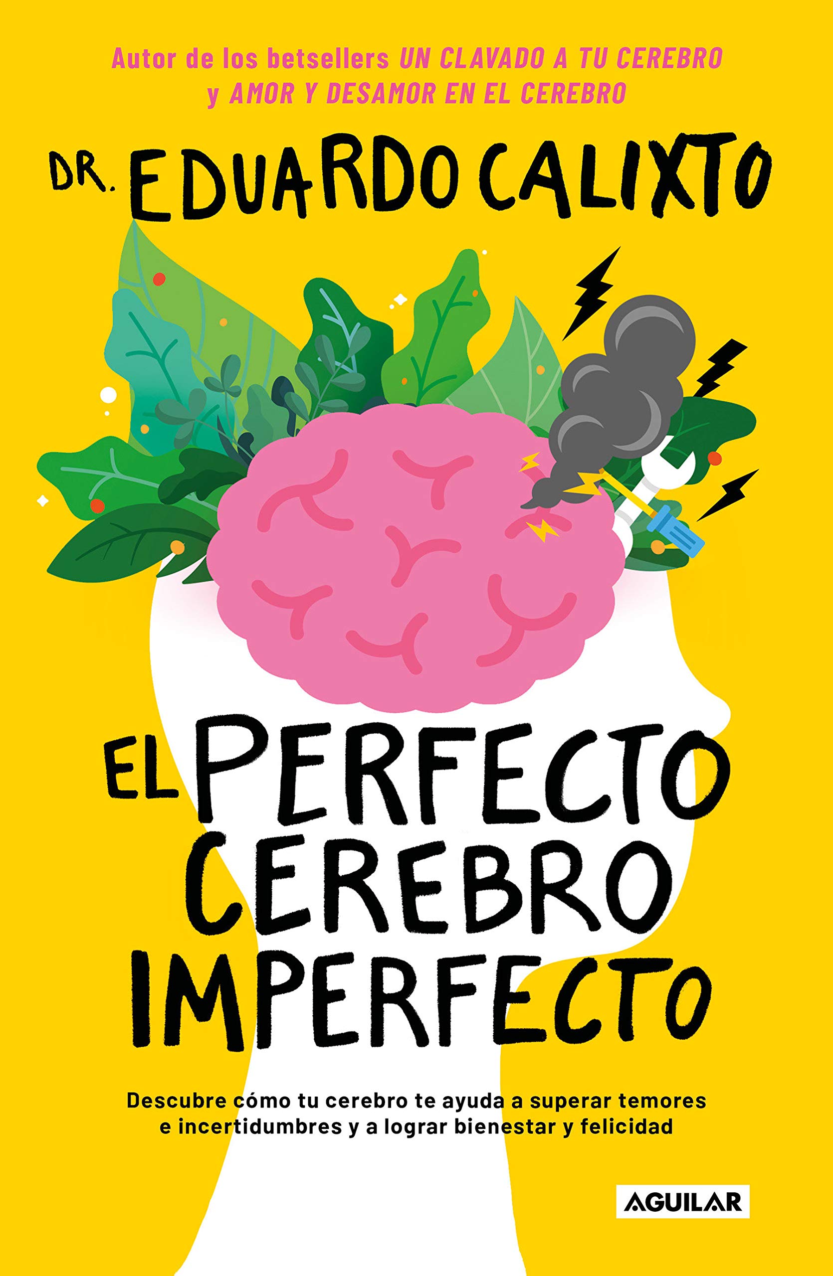 El perfecto cerebro imperfecto (Spanish Edition)