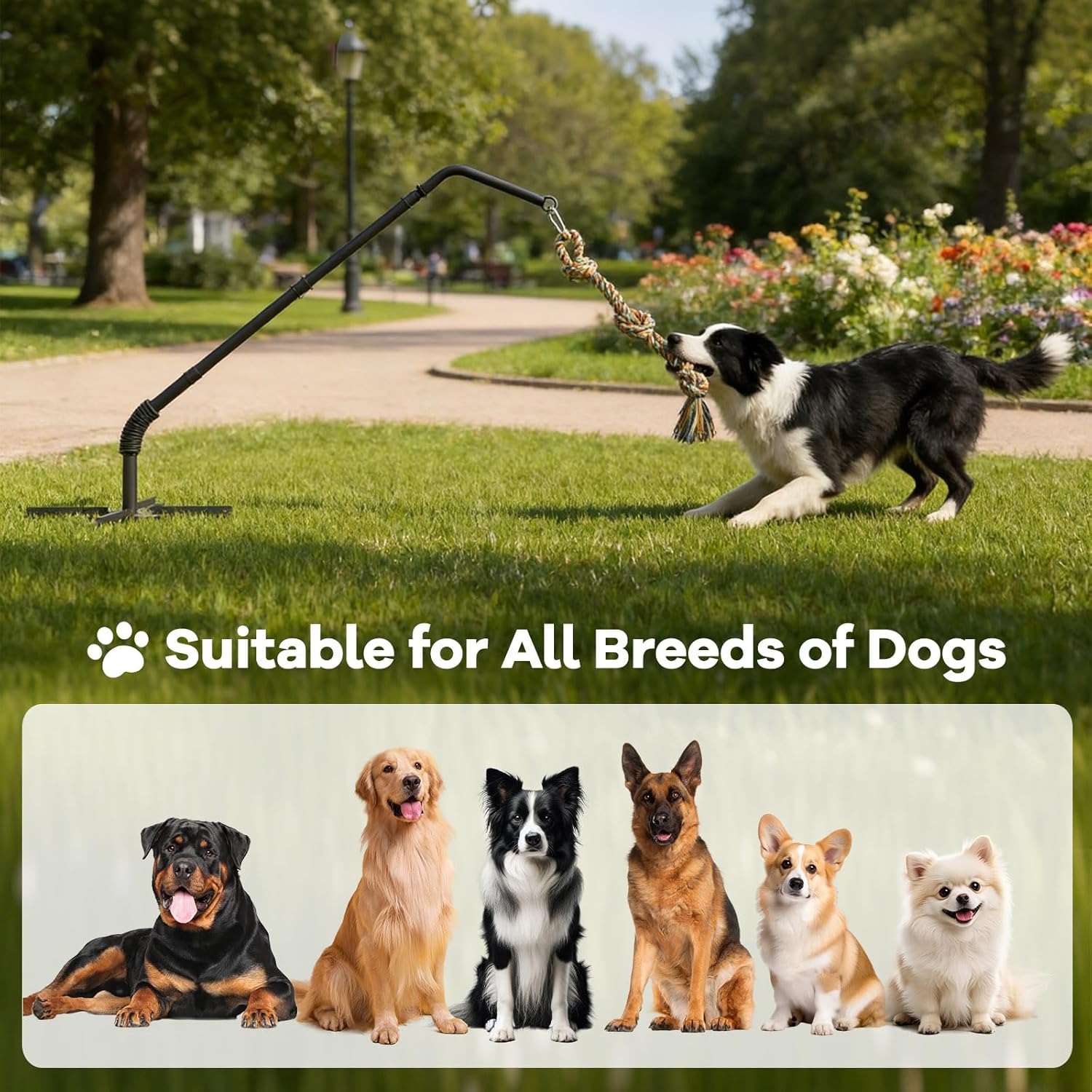 Outdoor Tug of War Dog Toy with Strengthen Spring Pole, Sturdy & Durable, Adjustable Height for Large, Medium & Small Dogs;3 Kinds Dog Tug of War Toys for Self-Play & Interactive in Park, Yard & Lawn