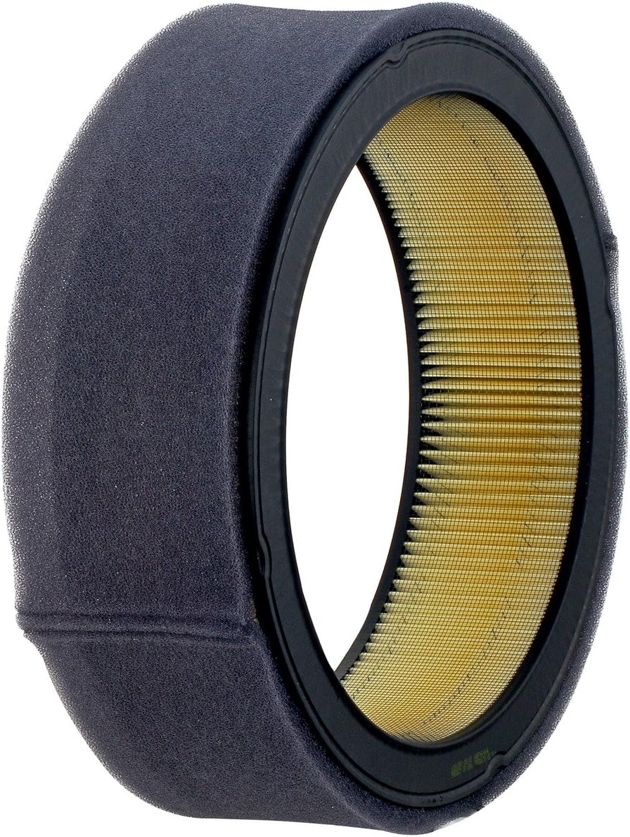 Luber-finer Luberfiner AF644 Panel Heavy Duty Engine Air Filter Fits Select GM Products (1978-99) (AC A644C; GM 8996118)