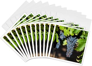 Greeting Cards - Margaret River Wine Region - 12 Pack - Australia