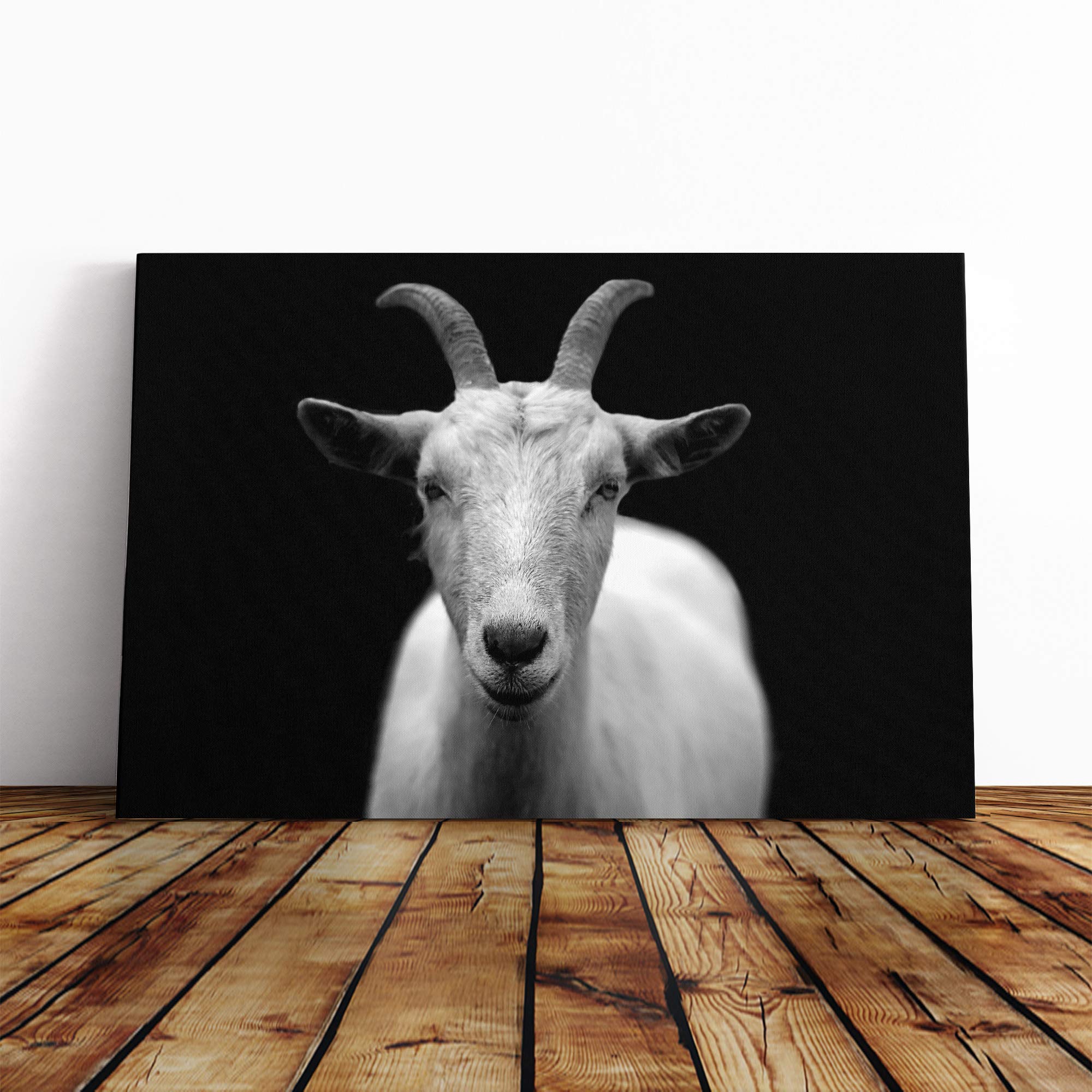 White Goat Canvas Print | Gallery Wrapped 30mm Frame Wall Art | 30x20 inches | Ready to Hang | Modern Animals Picture | Living Room Bedroom Lounge Office