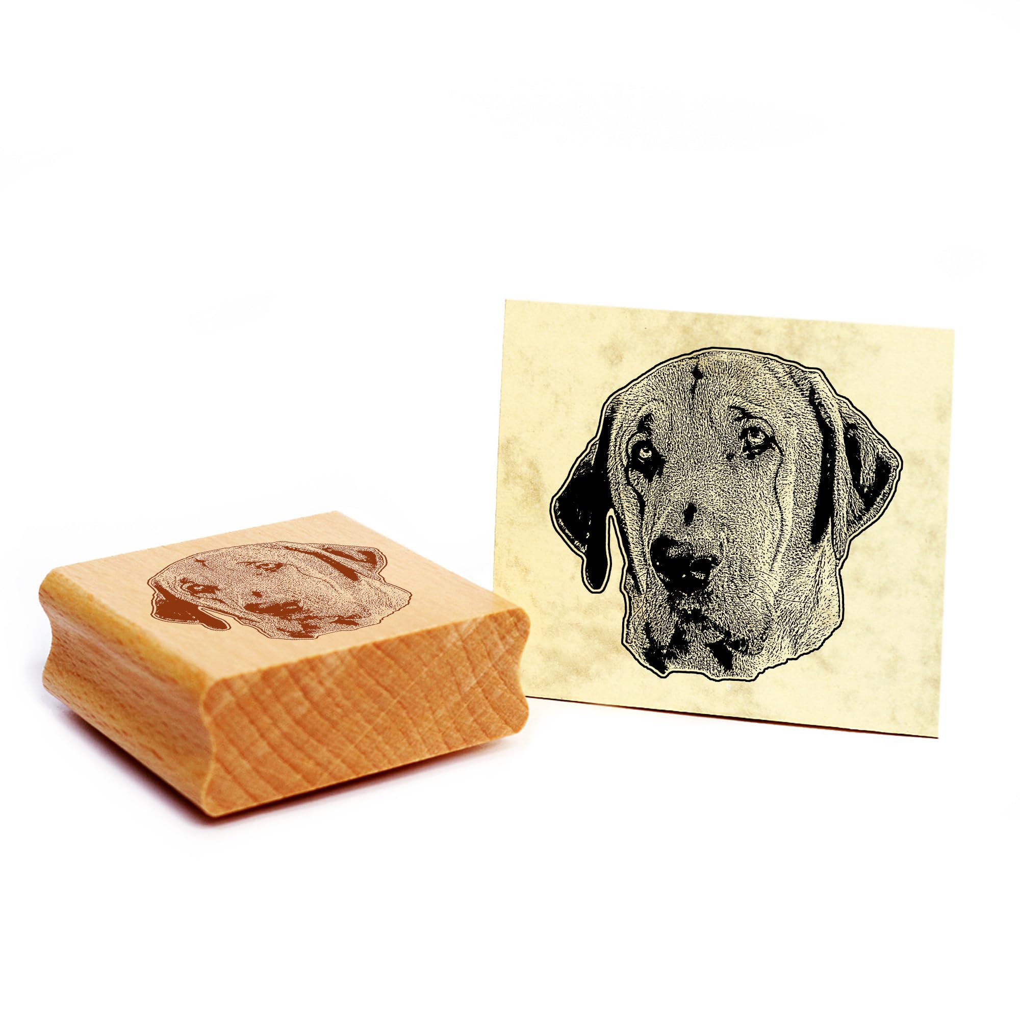 Dekolando Motif Stamp Broholmer Stamp Dog Wooden Stamp 48 x 46 mm