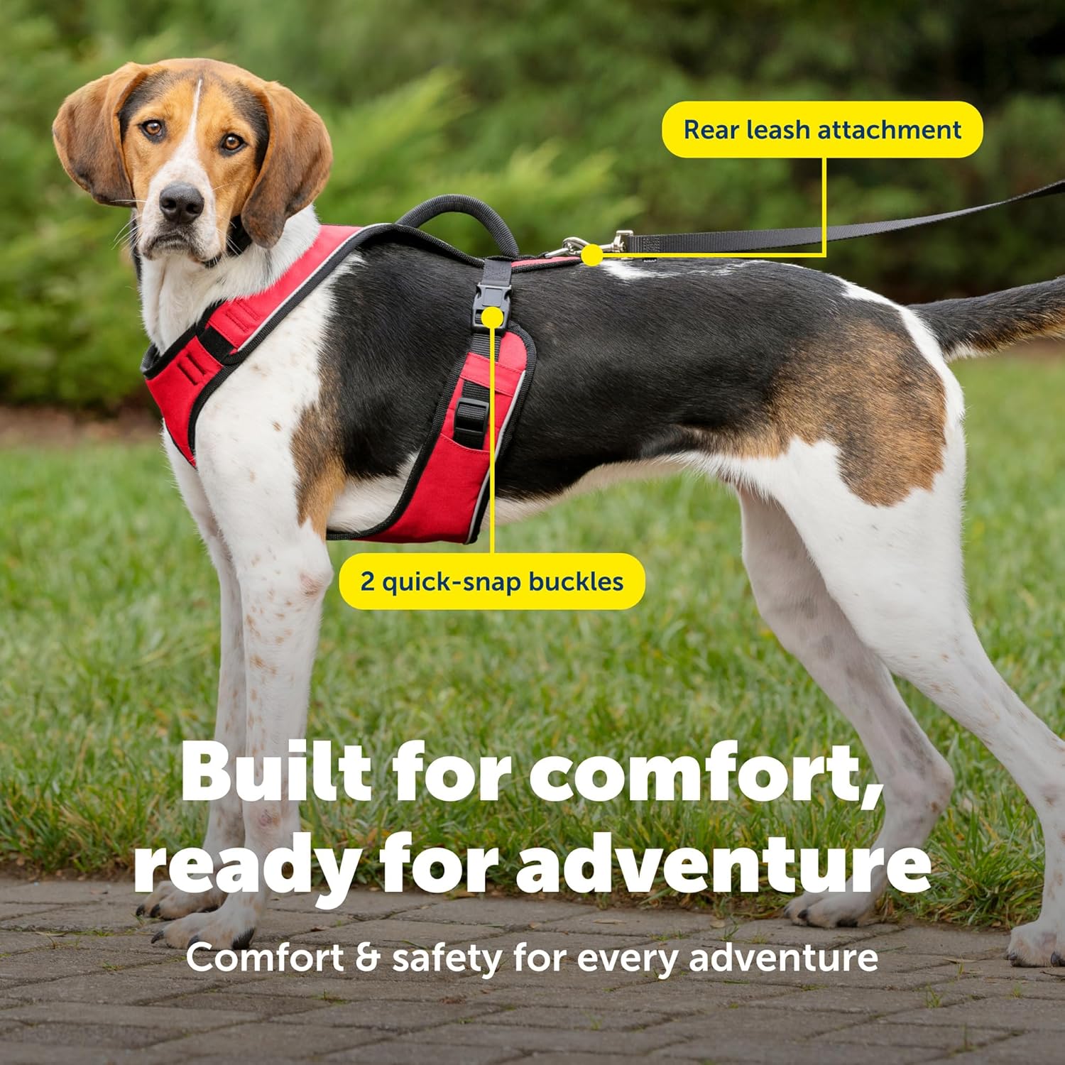 PetSafe EasySport Harness - Durable Padded Fabric, Adjustable Elastic Neckline, Rear-Leash Attachment & Nighttime Reflective Visibility - No Choke or Gag Secure Fit - Large - Red