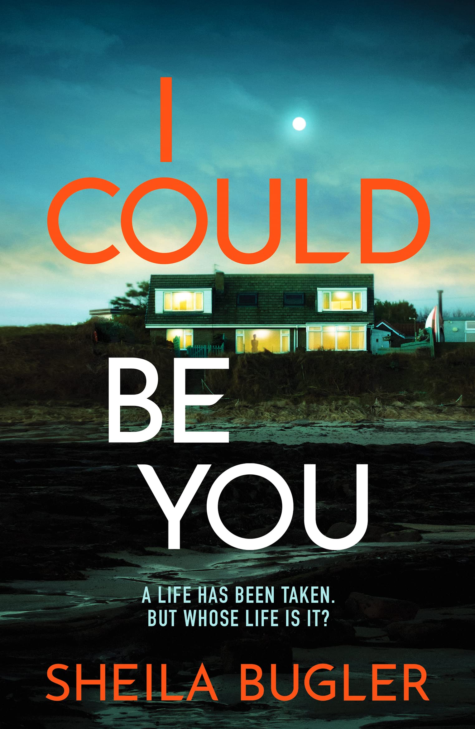 I Could Be You — Sheila Bugler