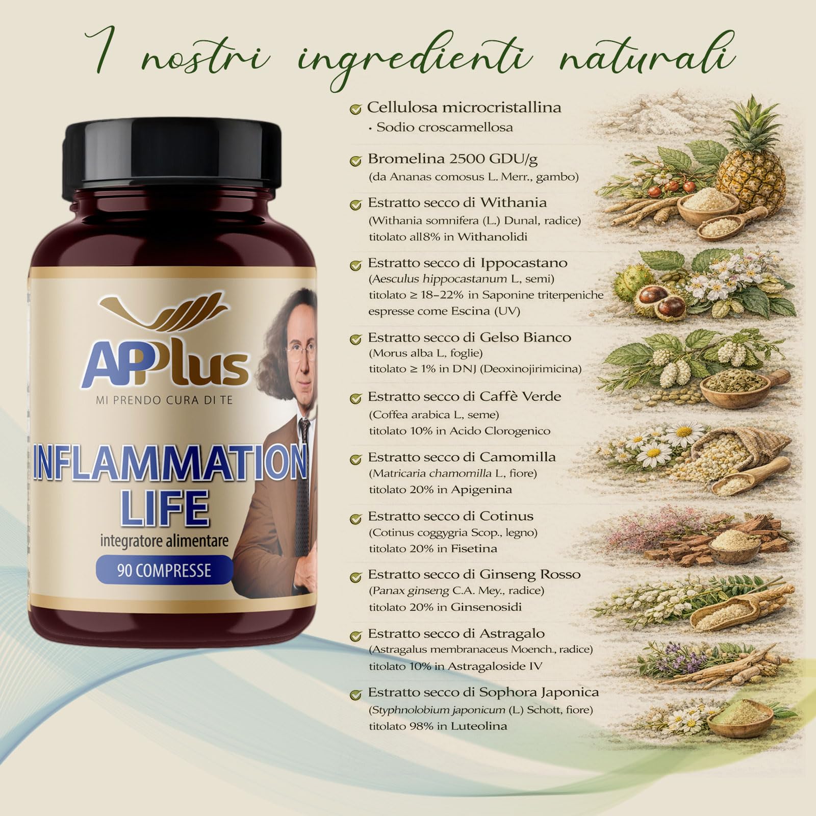 AP PLUS Inflammation Life Integratore Antiossidante Forte, Formula Adattogena per Metabolismo e Microcircolo con Fisetina, Luteolina e Bromelina 2500 GDU, Astragalo | 90 Compresse