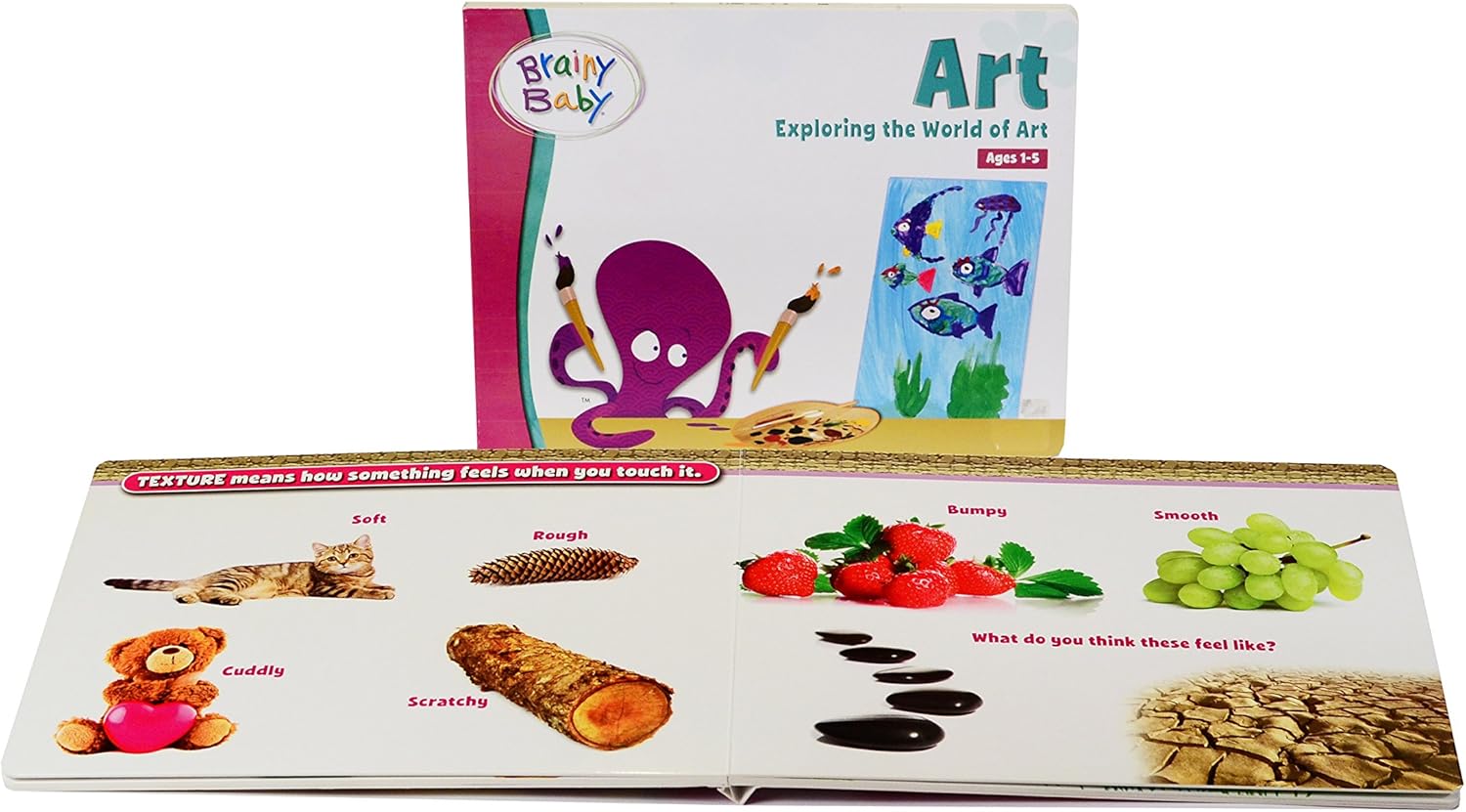 Brainy Baby Art DVD and Art Board Book: Exploring The World of Art Deluxe Edition