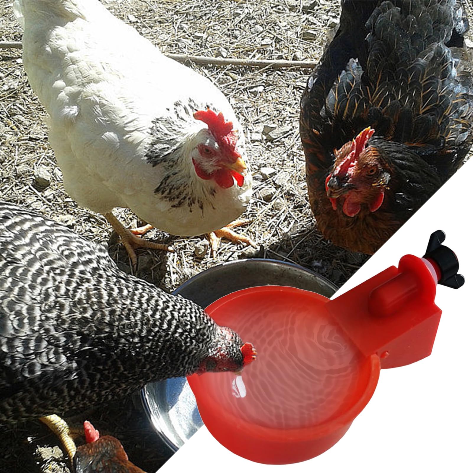 5 piezas tazas bebedoras de pollo - kit de alimentación acuática automática | sin herramientas Instale tazones de beber para pollo, patos, pájaros, pavos y más — view 4