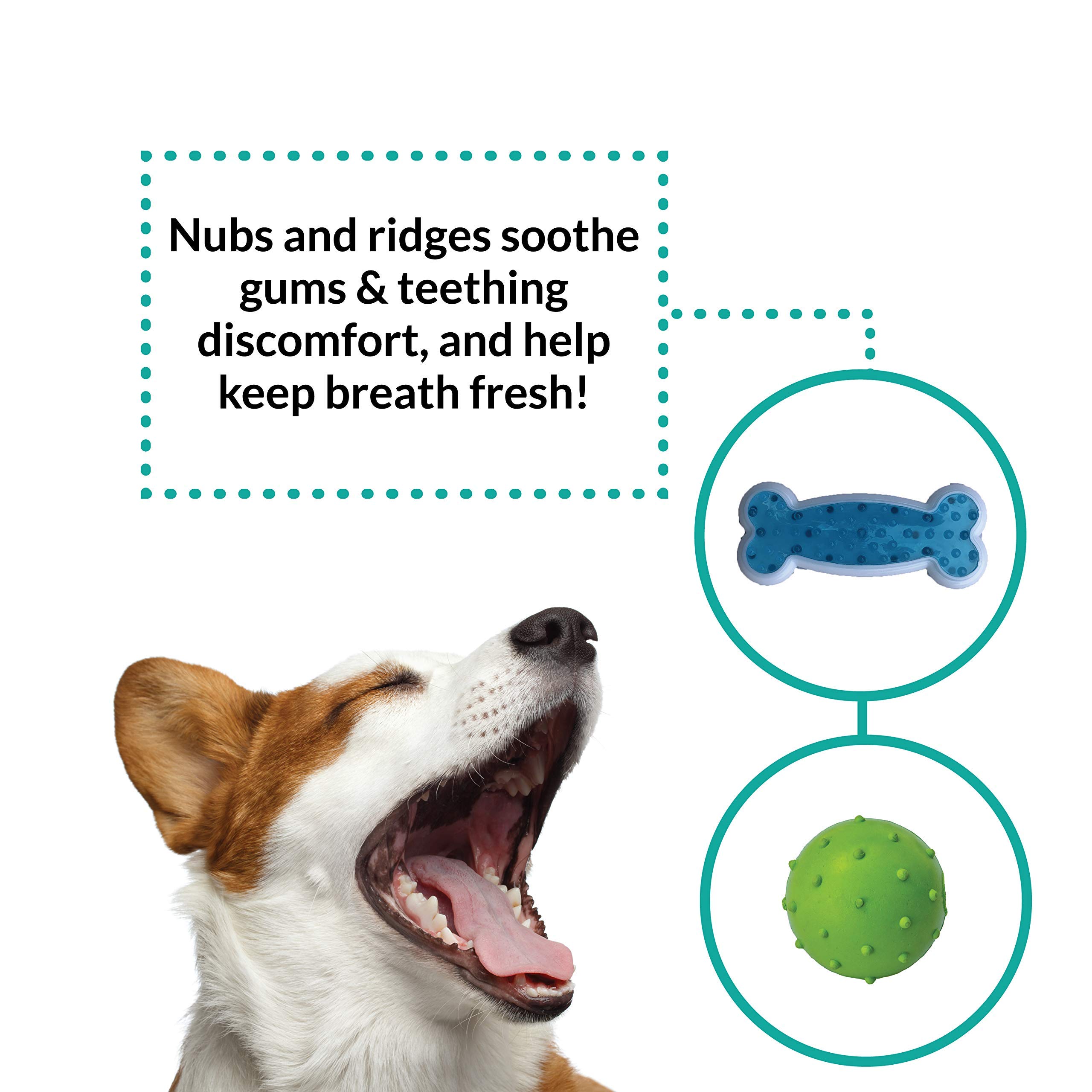 Pelota para Perros，Bola de Limpieza de Dientes Juguetes para Perros Mascotas Pelota de Goma Elástica，Bolas Juguetes Interactivos para Morder Perro