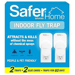 Trampa para insectos voladores Safer Home, trampa para moscas de la fruta para interiores, paquete de 2 unidades + 2 tarjetas adhesivas