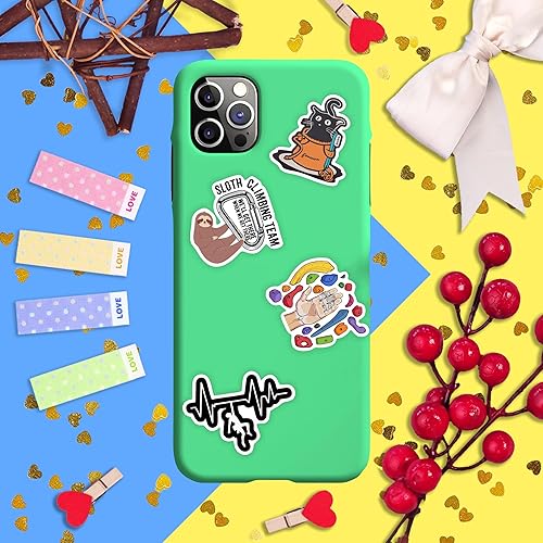 Vista 337 de BulbaCraft 100 calcomanías de meme de gato, divertidas calcomanías de gato, regalos para mujeres y hombres Gato Meme