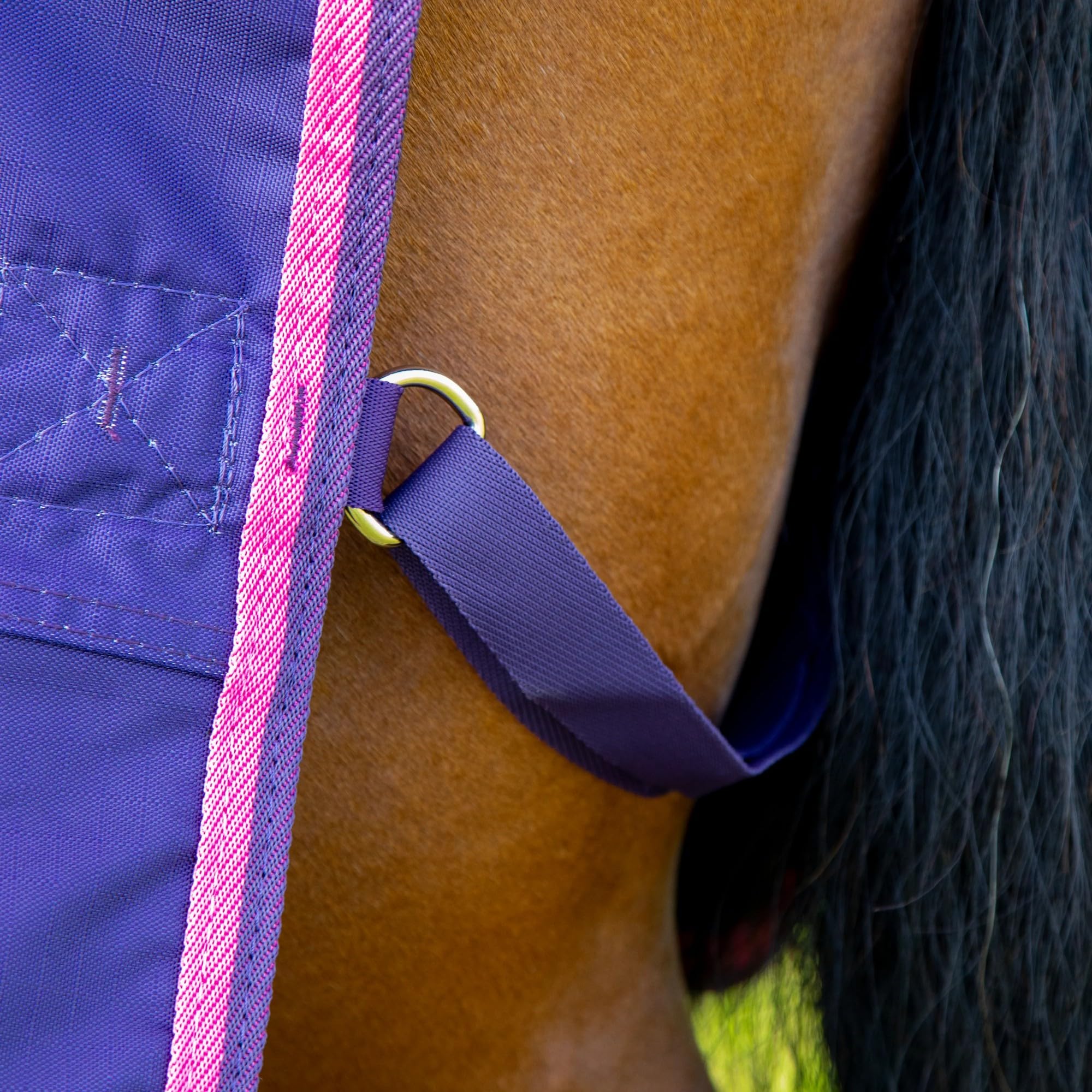 Tempest - Manta de Caballos para Ejercicio Original Diseño Teñida con Nudos (5' 3) (Marino, Rosa)