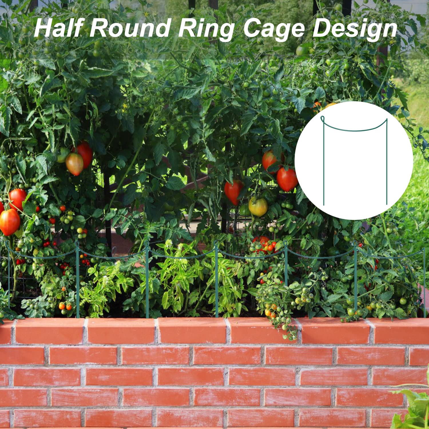 JIALWEN 4 Gabbie Per Piante In Metallo 20x35 Cm - Supporti Semicircolari Verdi Per Giardino E Vasi - 6