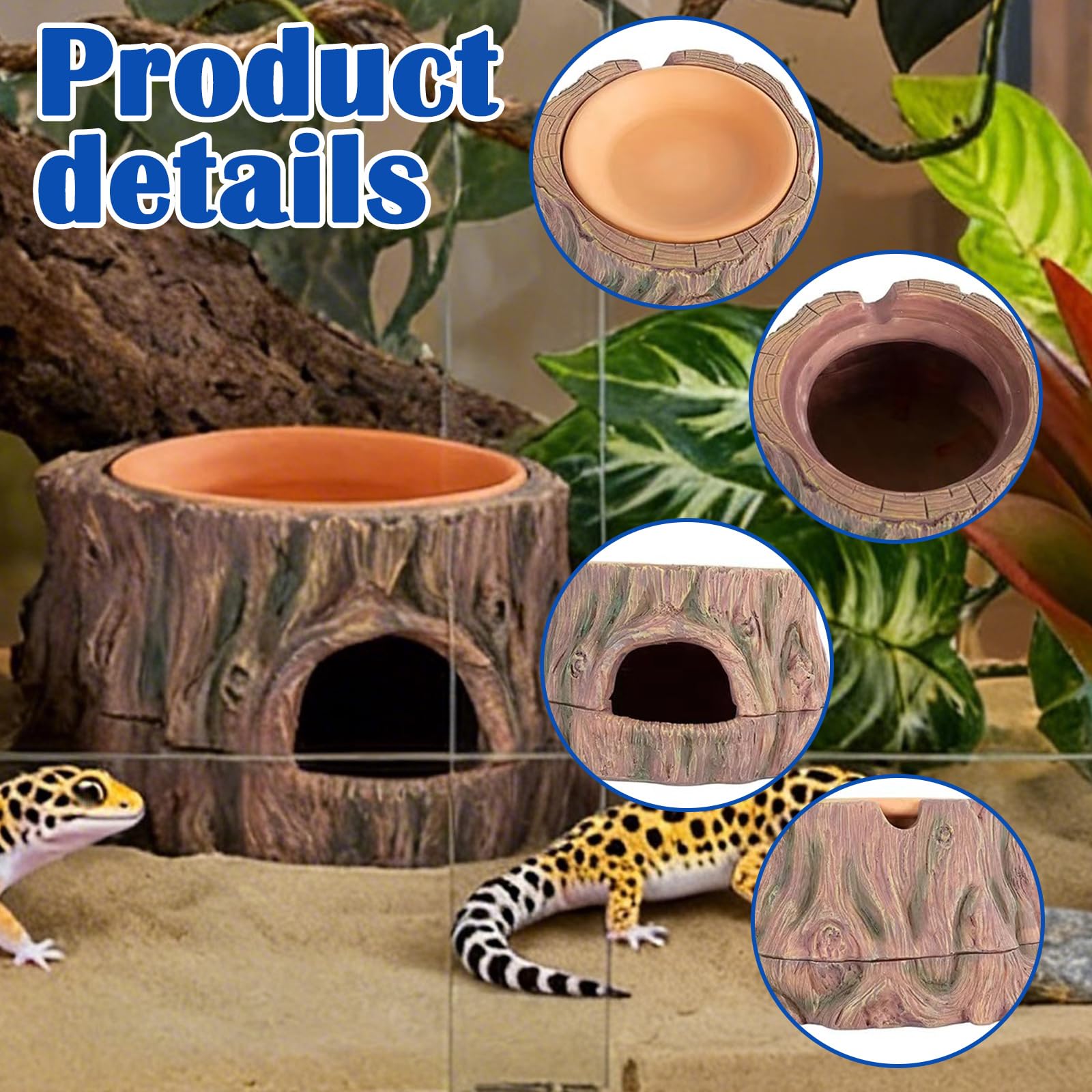 Reptiles 3 en 1 Cueva Ocultar Reptiles Protección: Cueva de reptiles, accesorios de terrario, anfibios escondite con hidratante, para gecko, lagartos, dragón barba, 16,2 × 15,2 × 1,5 cm