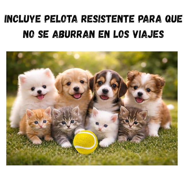 Foto 7 de 8 de HISPAVIR