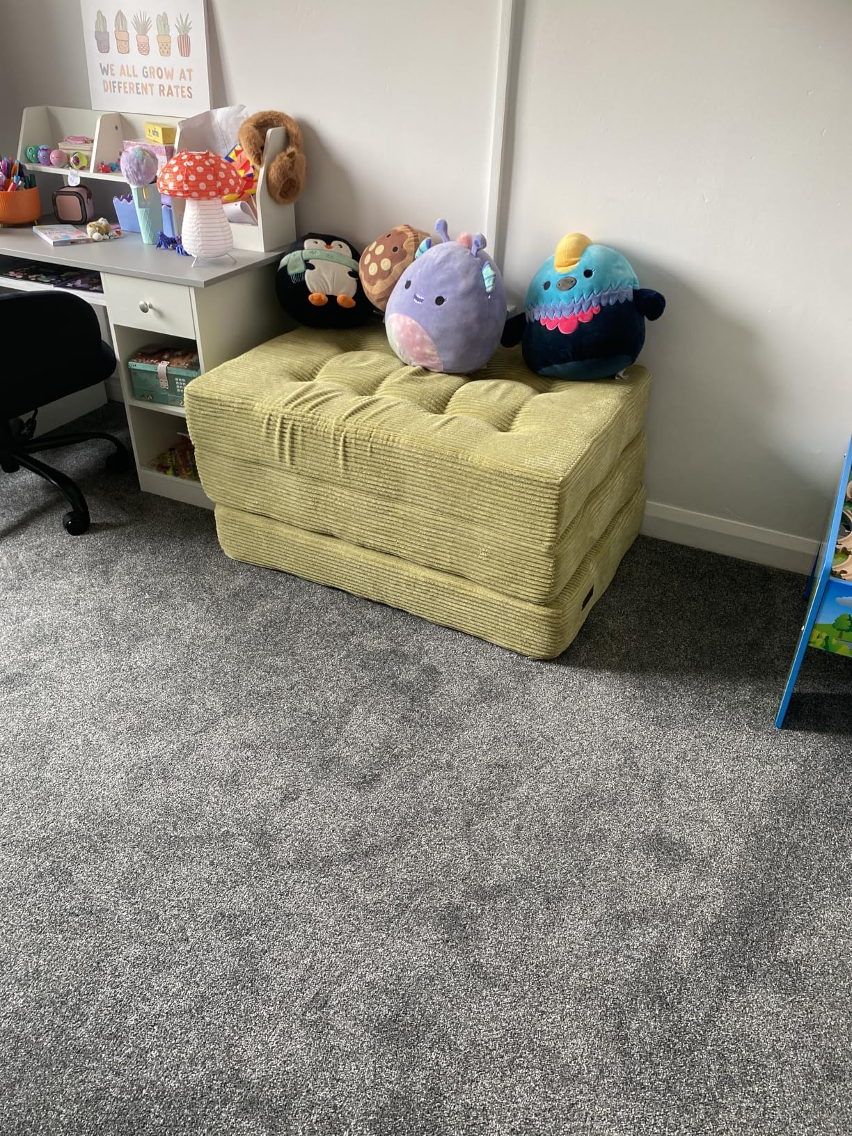 Customer photo