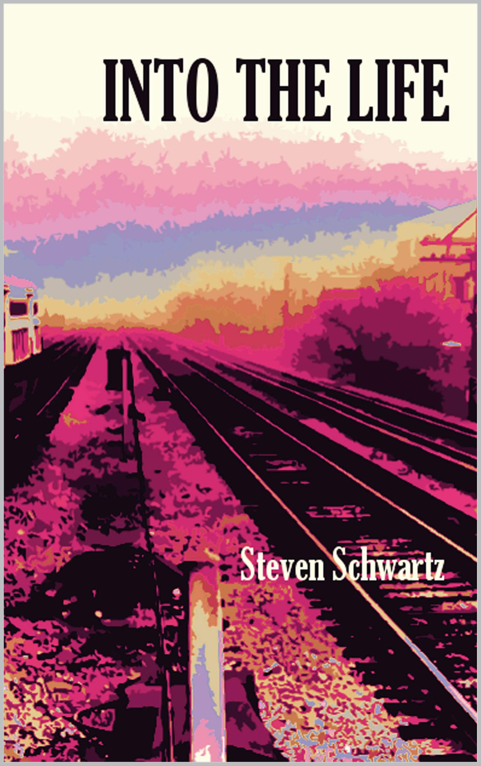 into the life: a chicago tale