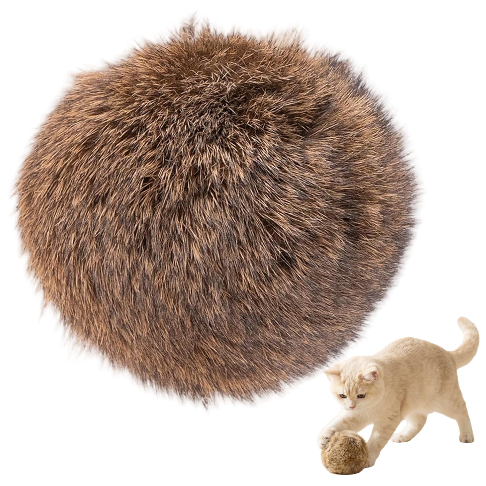 Balle à l'herbe à chat interactive : jouet peluche et accessoire chaton robuste