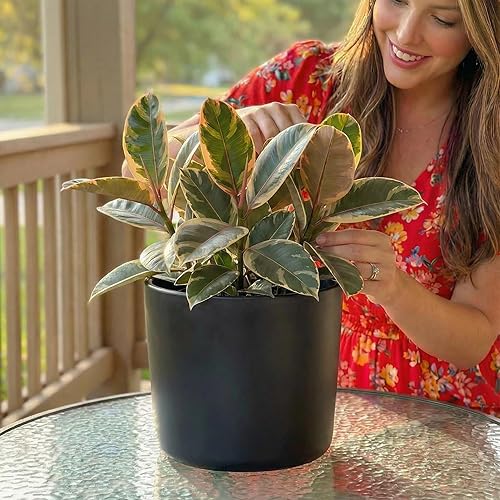 Willowy Maceta de cerámica negra de 9 pulgadas con drenaje, maceta de 9 pulgadas para plantas de interior, maceta de flores, maceta alta y moderna