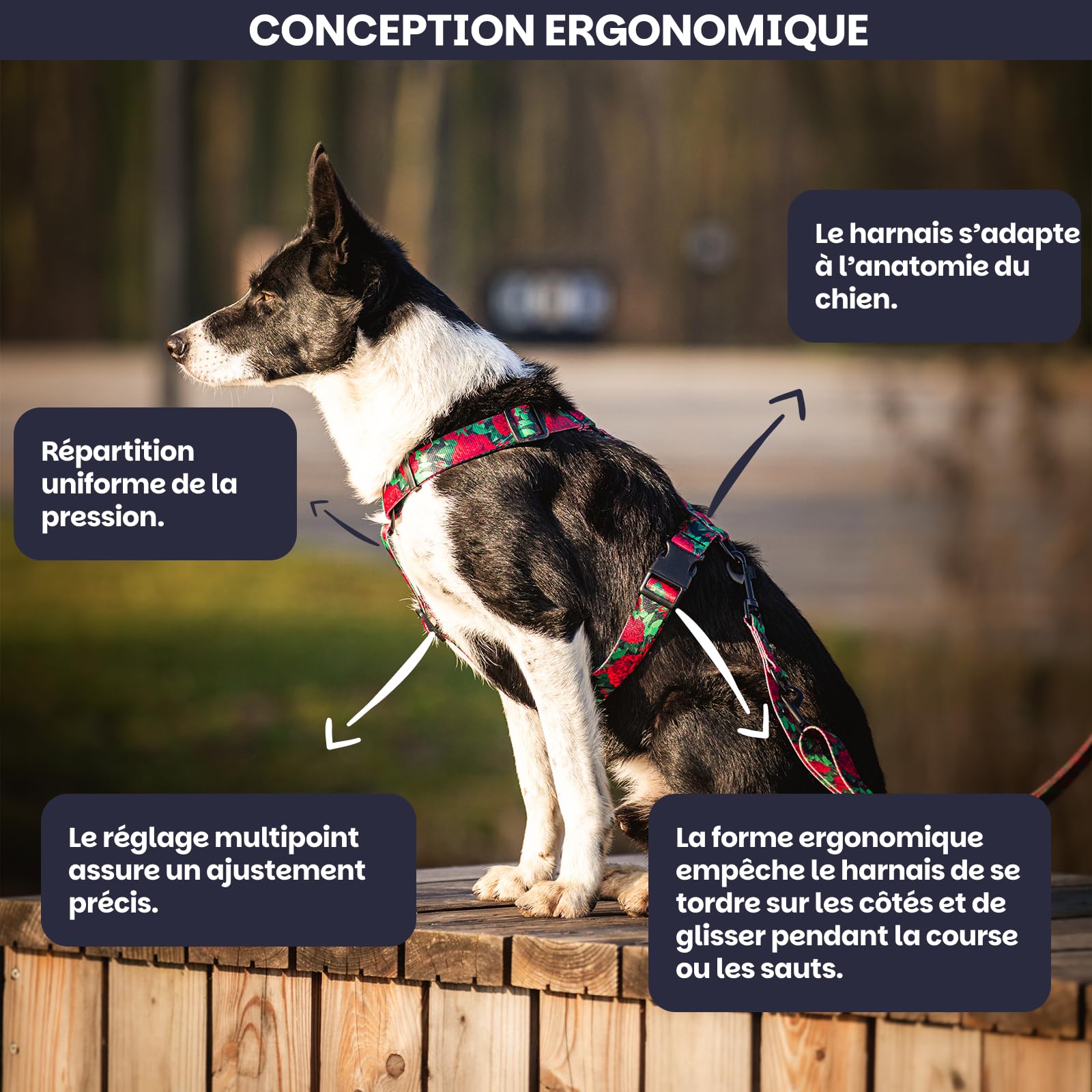 Harnais pour Chiot et Petite Chien | NO Absorb | Anti Traction | Réglable en 5 Points | Step-in | Empêchant la Traction et l'étouffement | Léger, Résistant | Dog Harness | Eternal Rose-XS