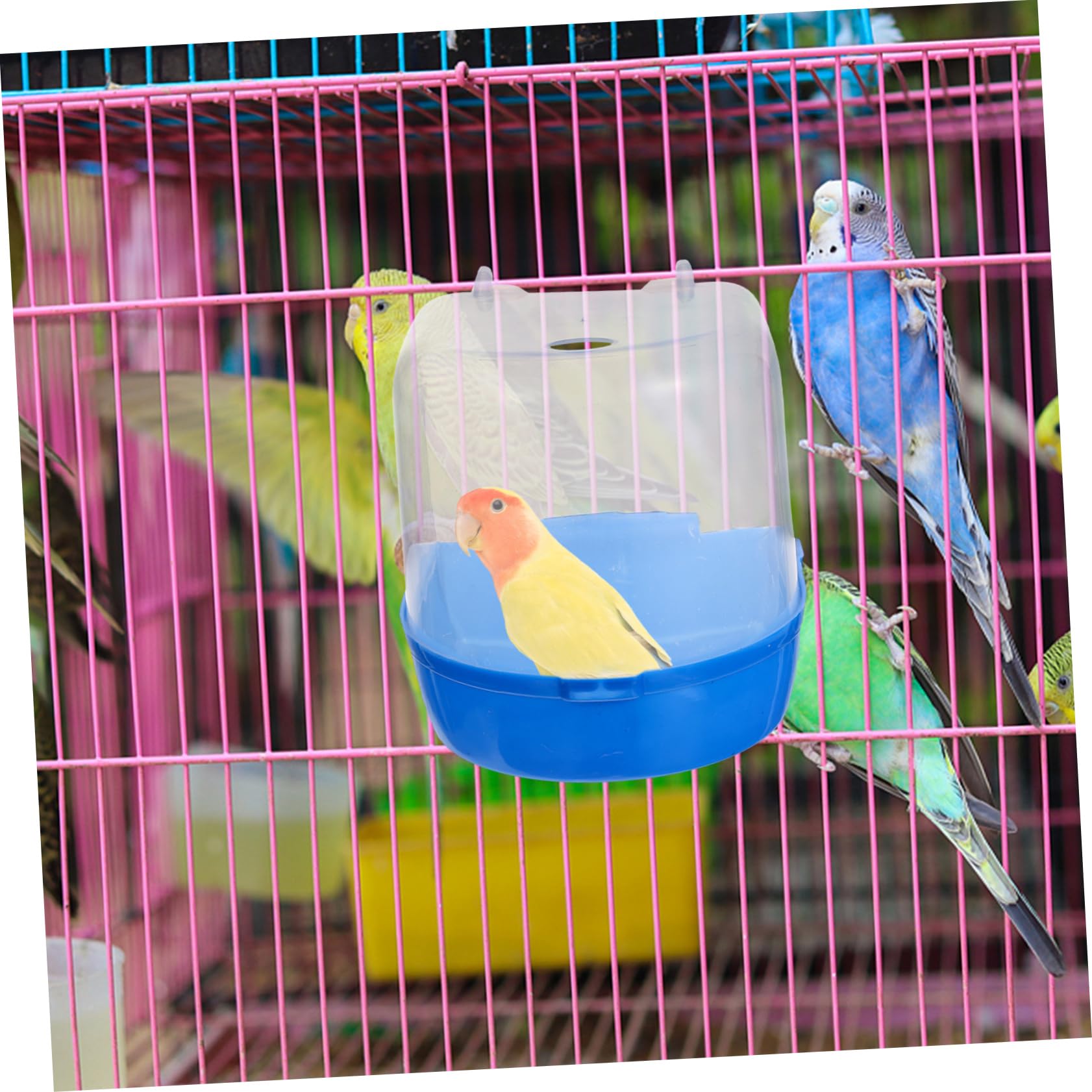 Amosfun 4stücke Vogel Hängend Kunststoff Parakeet Duschbox Für Käfig Für Kleine Vögel Wie Wellensittiche Und Kanarienvögel Mit Bunten Designs Grün Blau