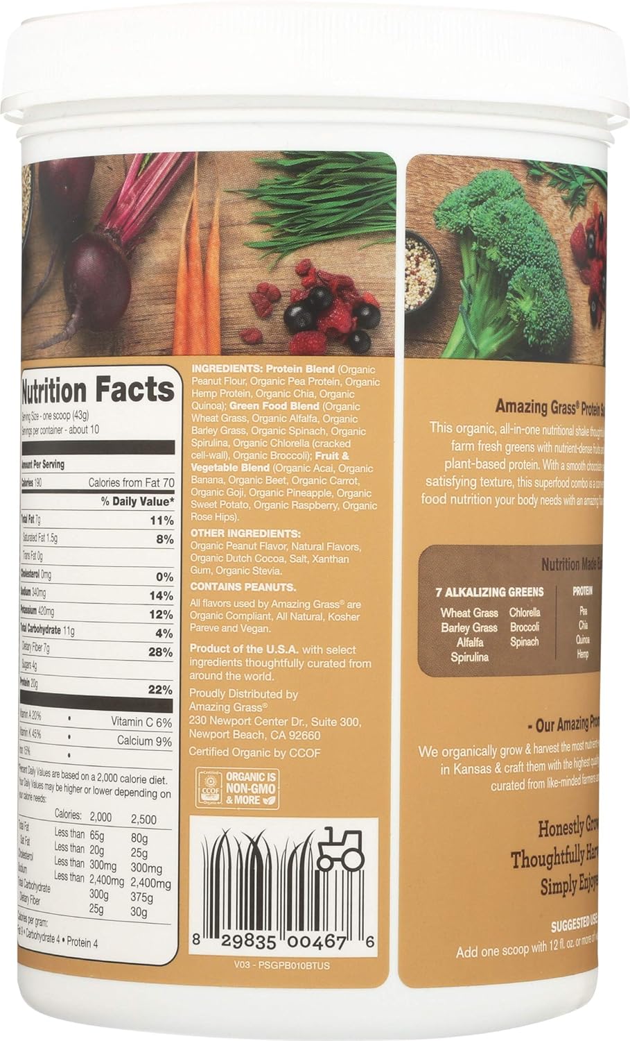 Amazing Grass Protein Superfood: Vegan Protein Powder, All-in-One Nutrition Shake, with Beet Root Powder, Chocolate Peanut Butter, 10 Servings : Everything Else