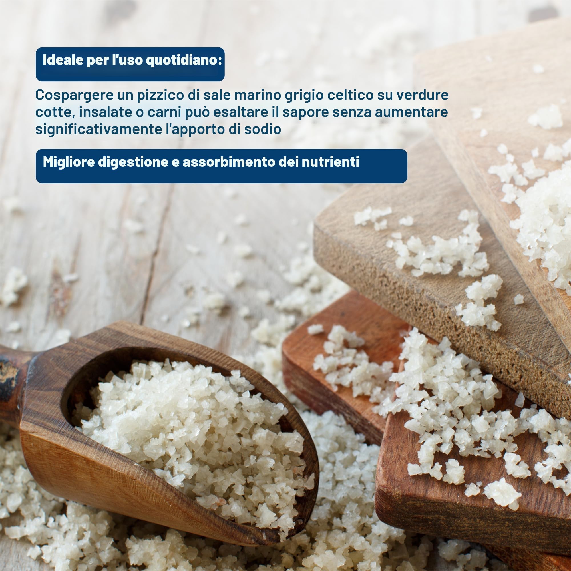 Seba Garden Celtic Sea Salt Grey, Confezione richiudibile di sale marino grigio biologico certificato da 1 kg, raccolto a mano, contenente oltre 82 minerali essenziali