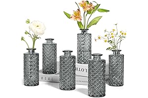 ComSaf Glass Bud Vases