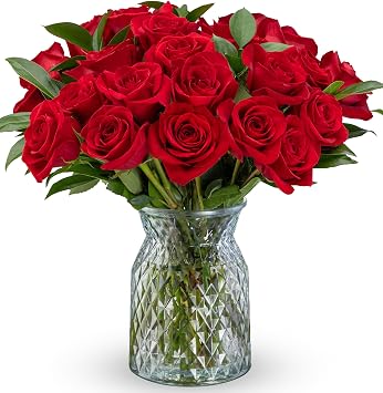 Benchmark Bouquets - Red Roses Bouquet - Fresh Flowers for Delivery - Two Dozen Long Stem Roses - Mothers Day Flowers for Mom - Mothers Day Gifts for Mom - Mothers Gifts Glass Vase Included