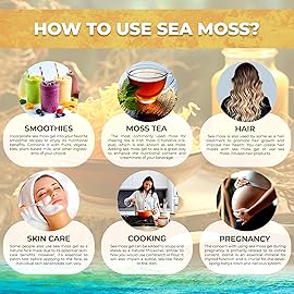WELLNESS LABSRX Irish Sea Moss Gel Raw - Wildcrafted Superfood Seamoss Gel - Original Flavor, Vitamin and Mineral-Rich from Pristine Caribbean Waters, Immune and Digestive Health Support - 10 oz.