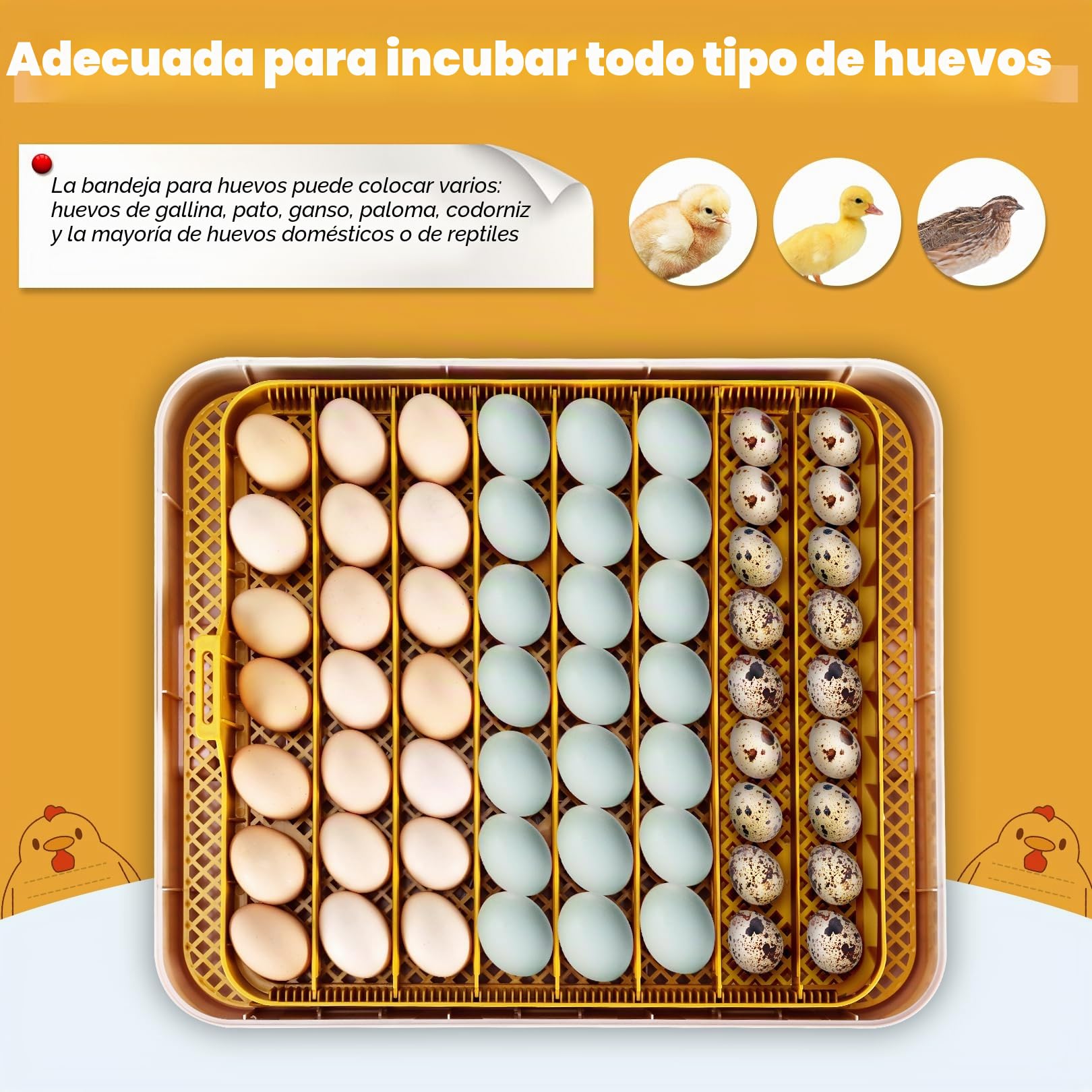Sailnovo Incubadora de Huevos, Incubadora de 56 Huevos con Volteo Automático de Huevos, Control de Temperatura y Añadido Automático de Humedad, Incubadoras de Gallina, Codorniz, Pato, Amarillo