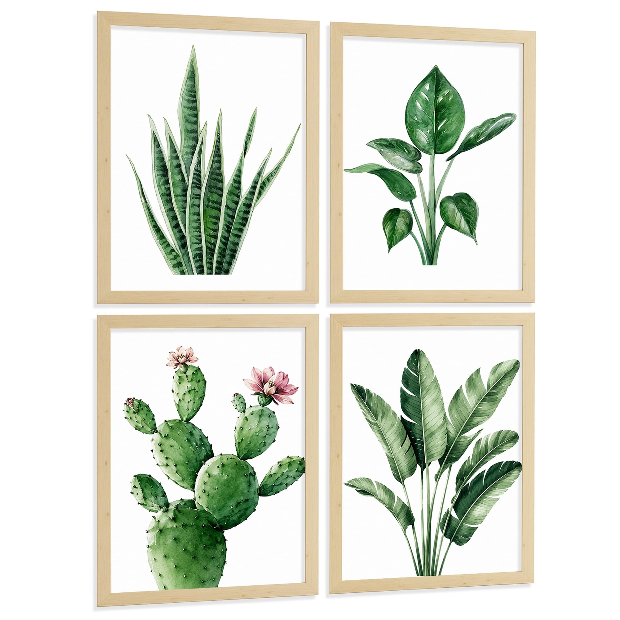 Nacnic Pósters Botánicos Tropicales con Hojas Verdes y Cactus