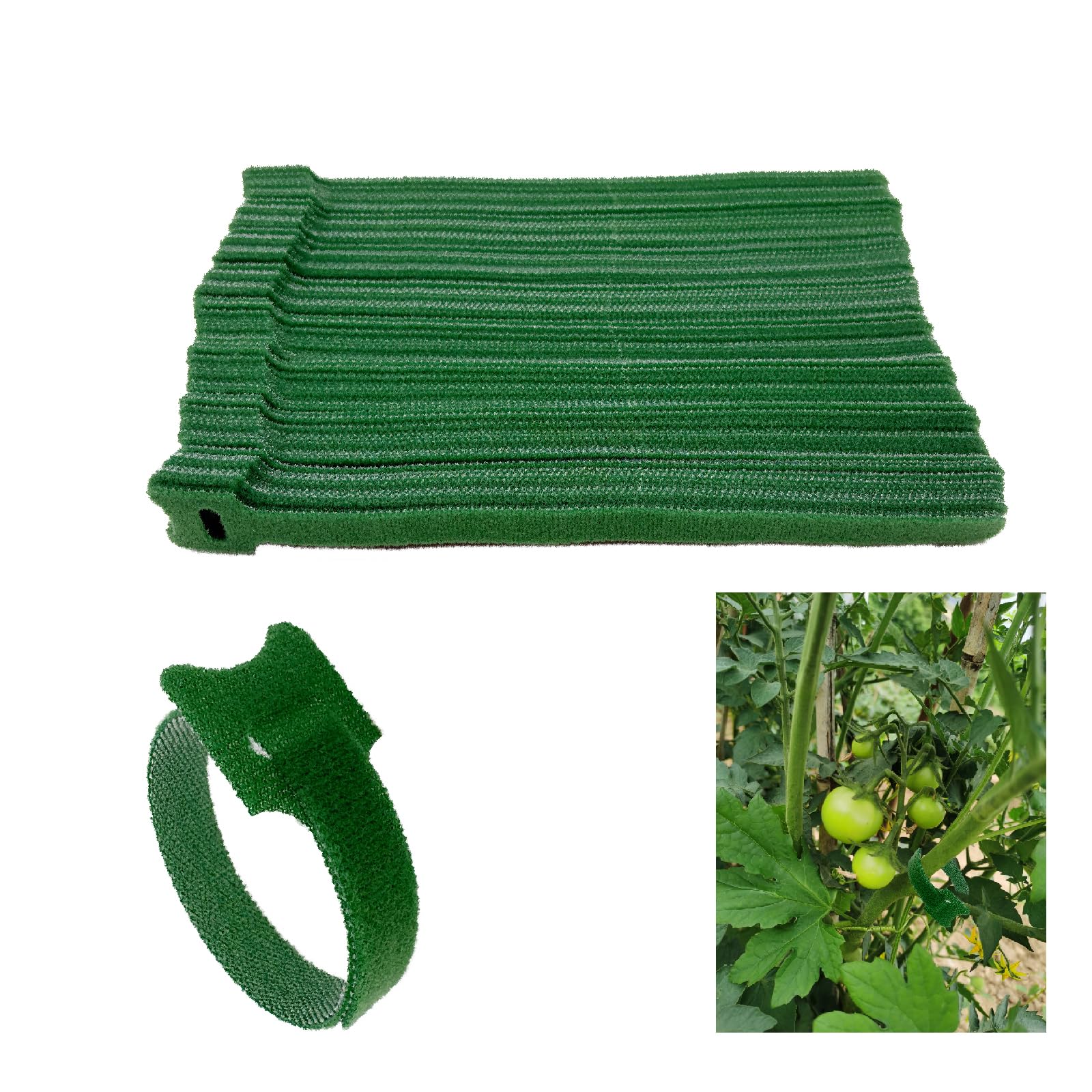 Attaches réglables en nylon pour plantes et jardinage - Lot de 100 tuteurs verts de 20 cm