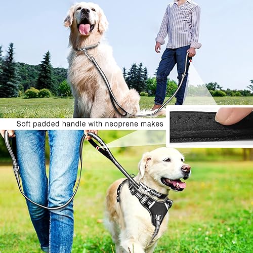 Miniatura 6 de WINSEE Juego de arnés para mascotas, collar y correa, arnés reflectante todo en uno para perro, sin tirones, con hebillas ajustables para cachorros,