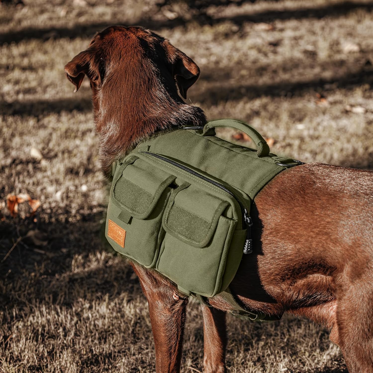 OneTigris Hundegeschirr mit Tasche, Hoppy Camper 3.0 Camping Wandern Hunderucksack für für Mittlere/Große Hunde, Rucksack für Hunderücken 2 Haupttaschen 4 Nebentaschen - Grün M