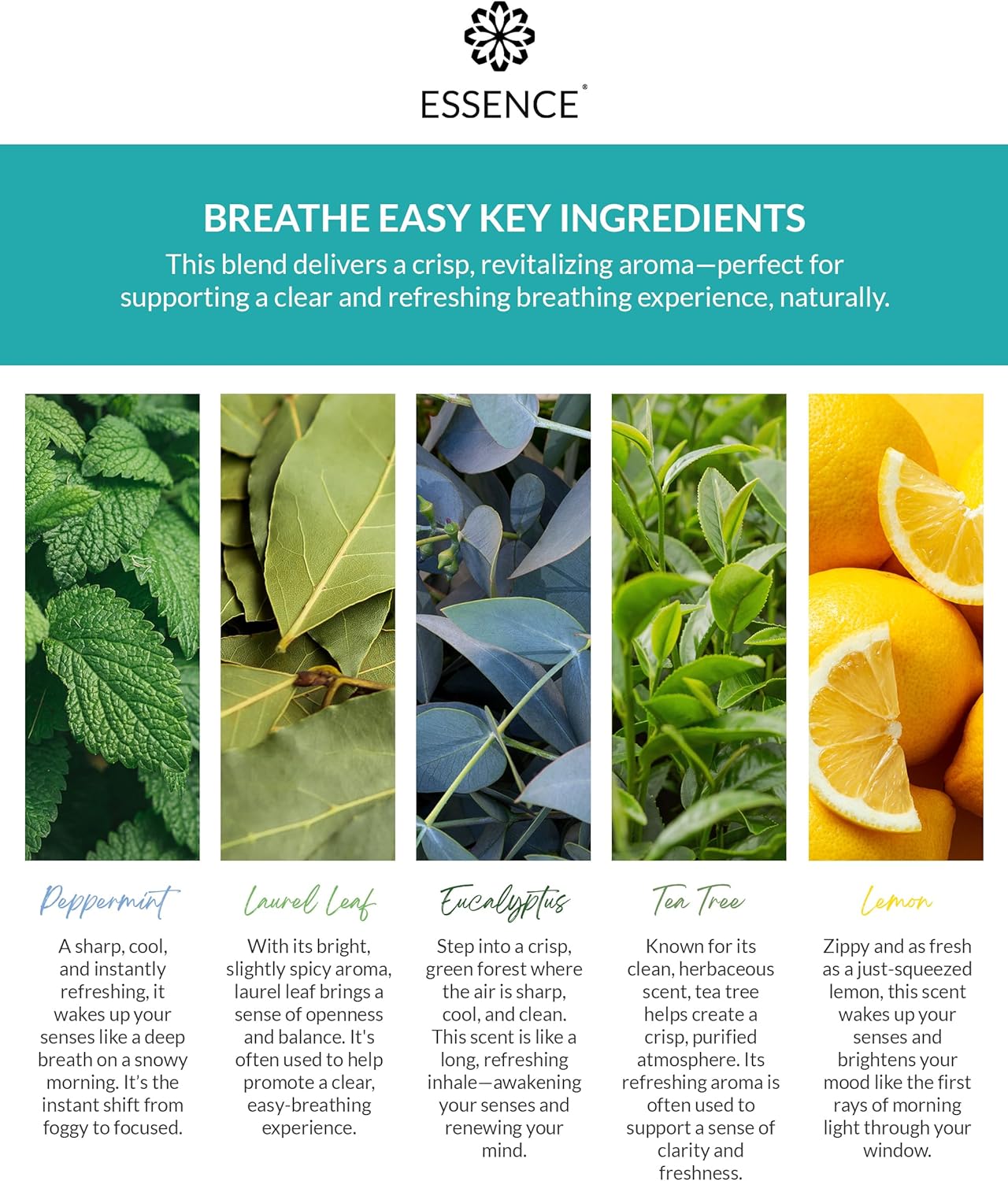 Essence Wearable Aromatherapy Nasal Diffuser – Breathe Easy Essential Oil Nose Ring – Personal Scent Clip for Travel, Work & Everyday Use – Made in USA (3 Pack) - Image 3