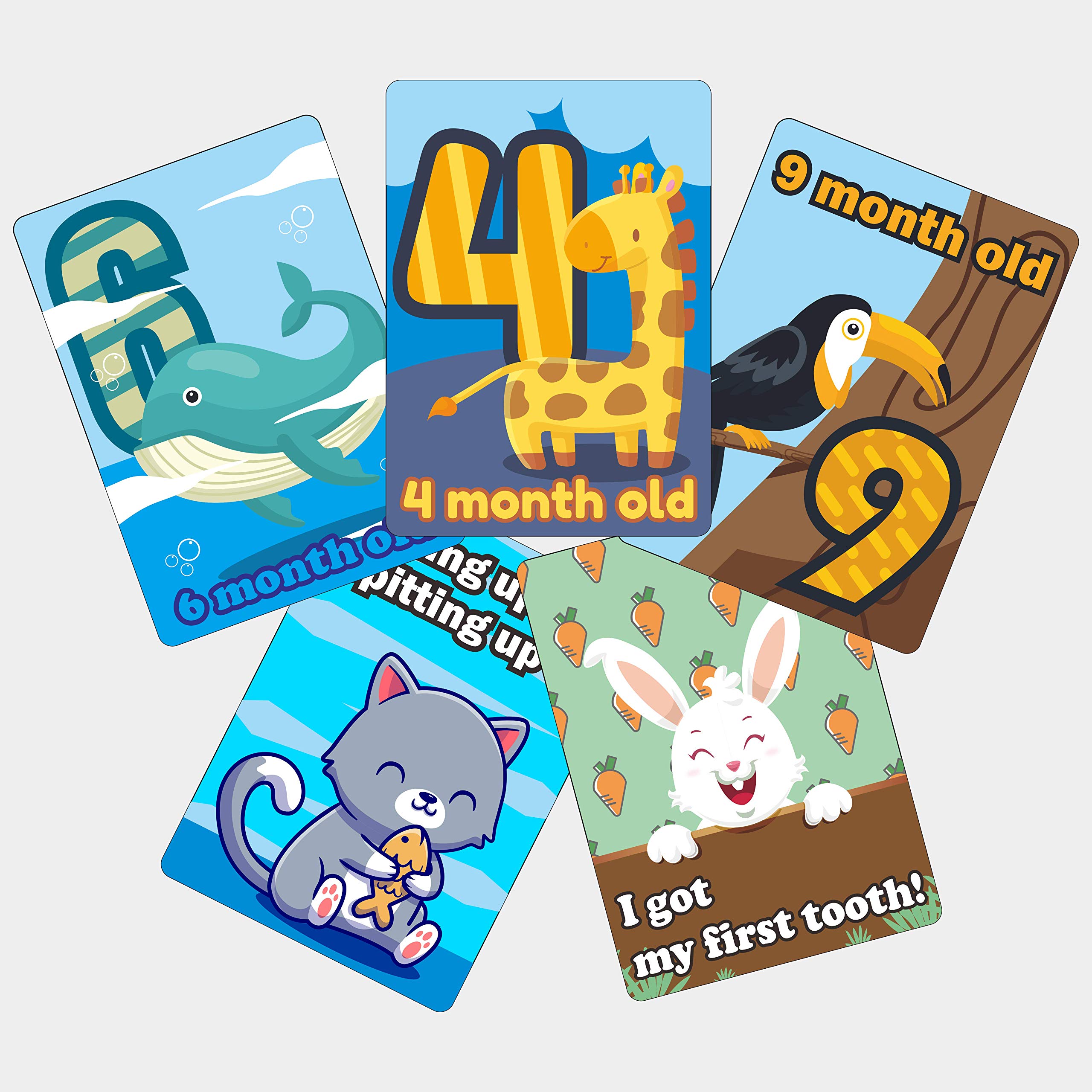 Crackles Animals Theme Baby Milestone Cards Recording 0-12 Months Along with Event Cards -Pack of 21 Cards (B08VWN25Z4) Amazon Price History, Amazon Price Tracker