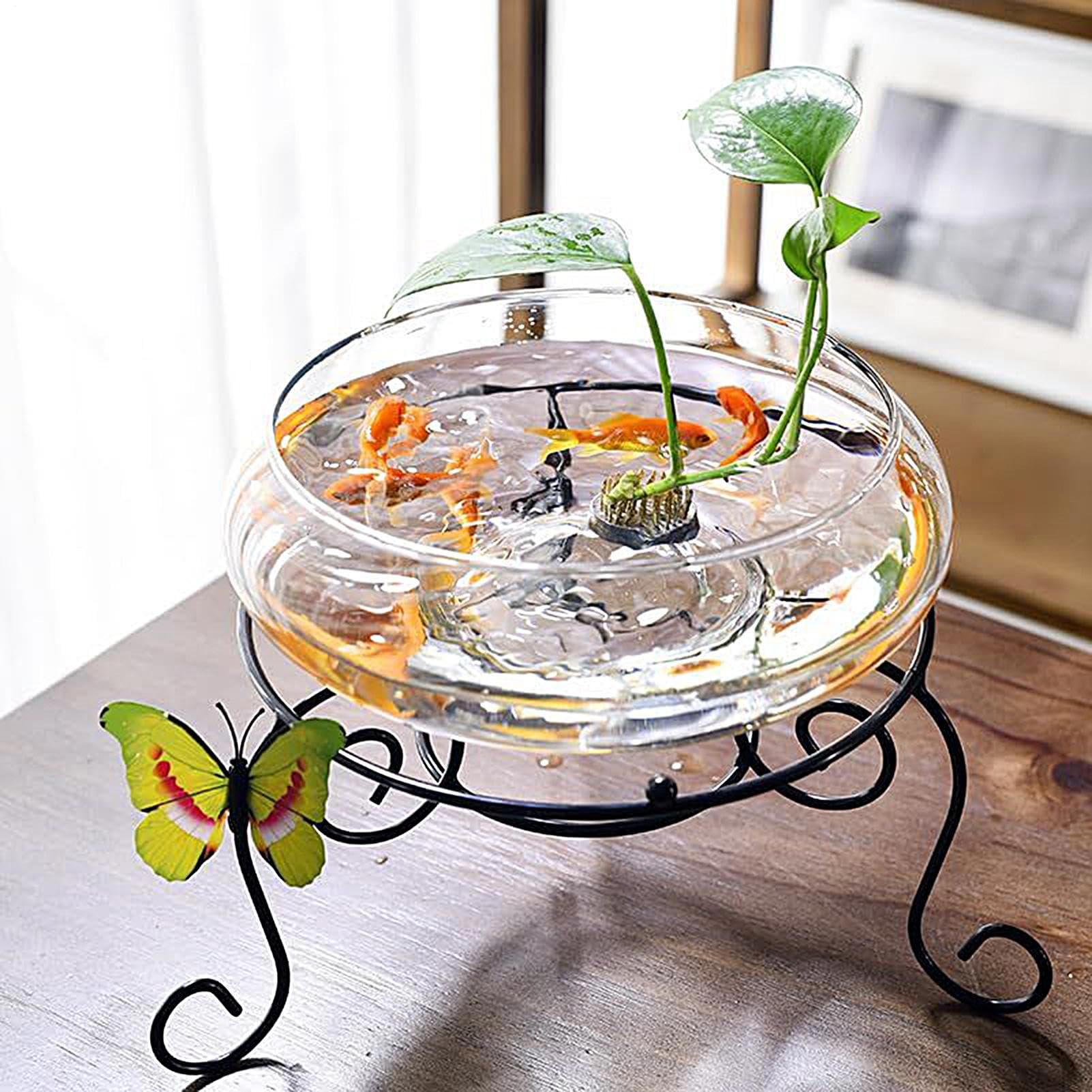 Ciotola per pesci | Grande vaso per pesci in | Vaso bonsai da 25 cm | Ciotole in con design trasparente | Ciotole per fiori idroponici per pesci domestici e piante grasse da interno